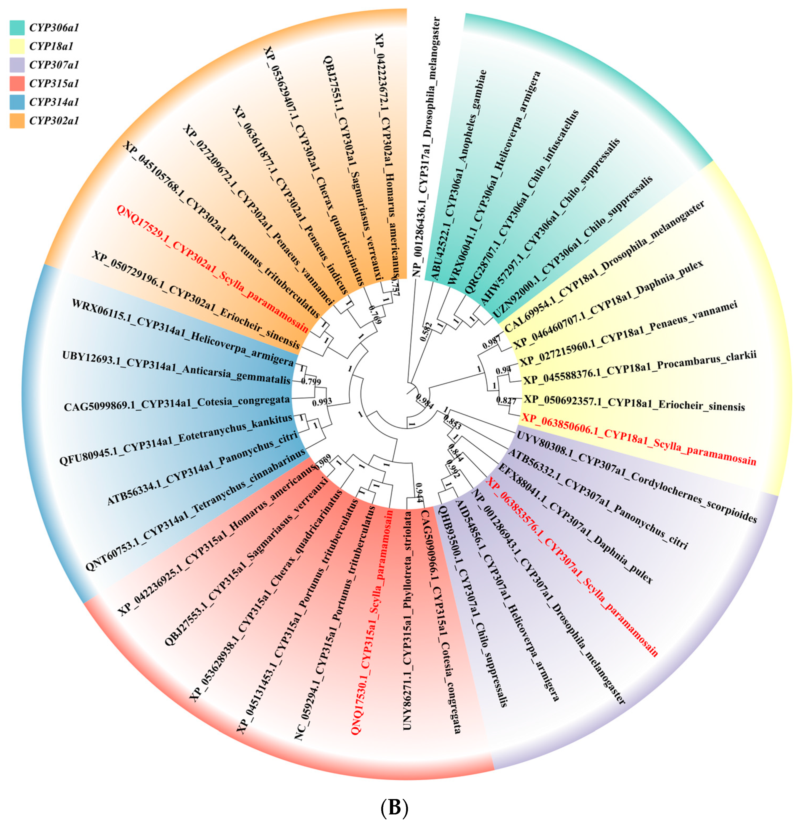 Genes 15 01586 g003b