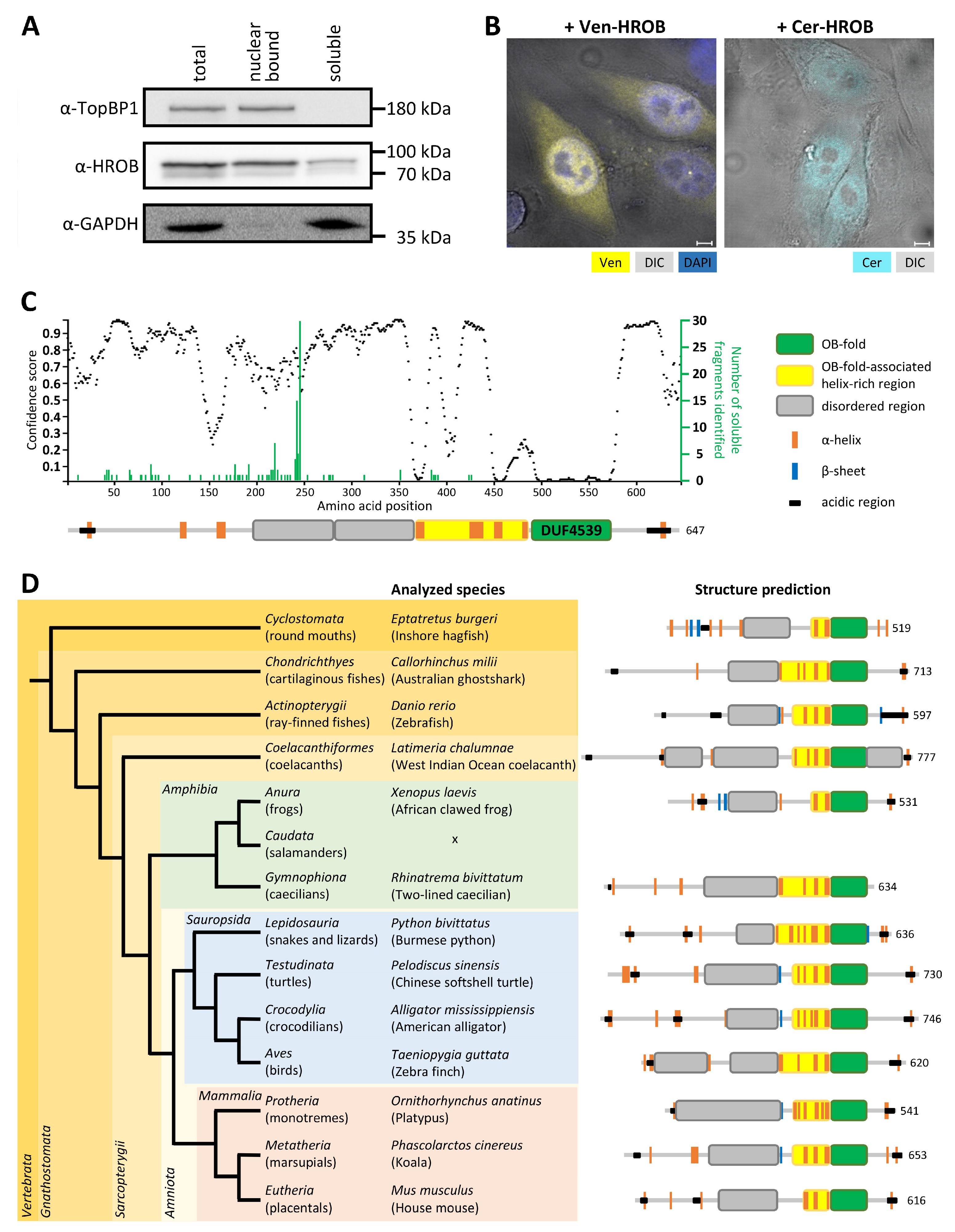 Genes 15 01587 g001