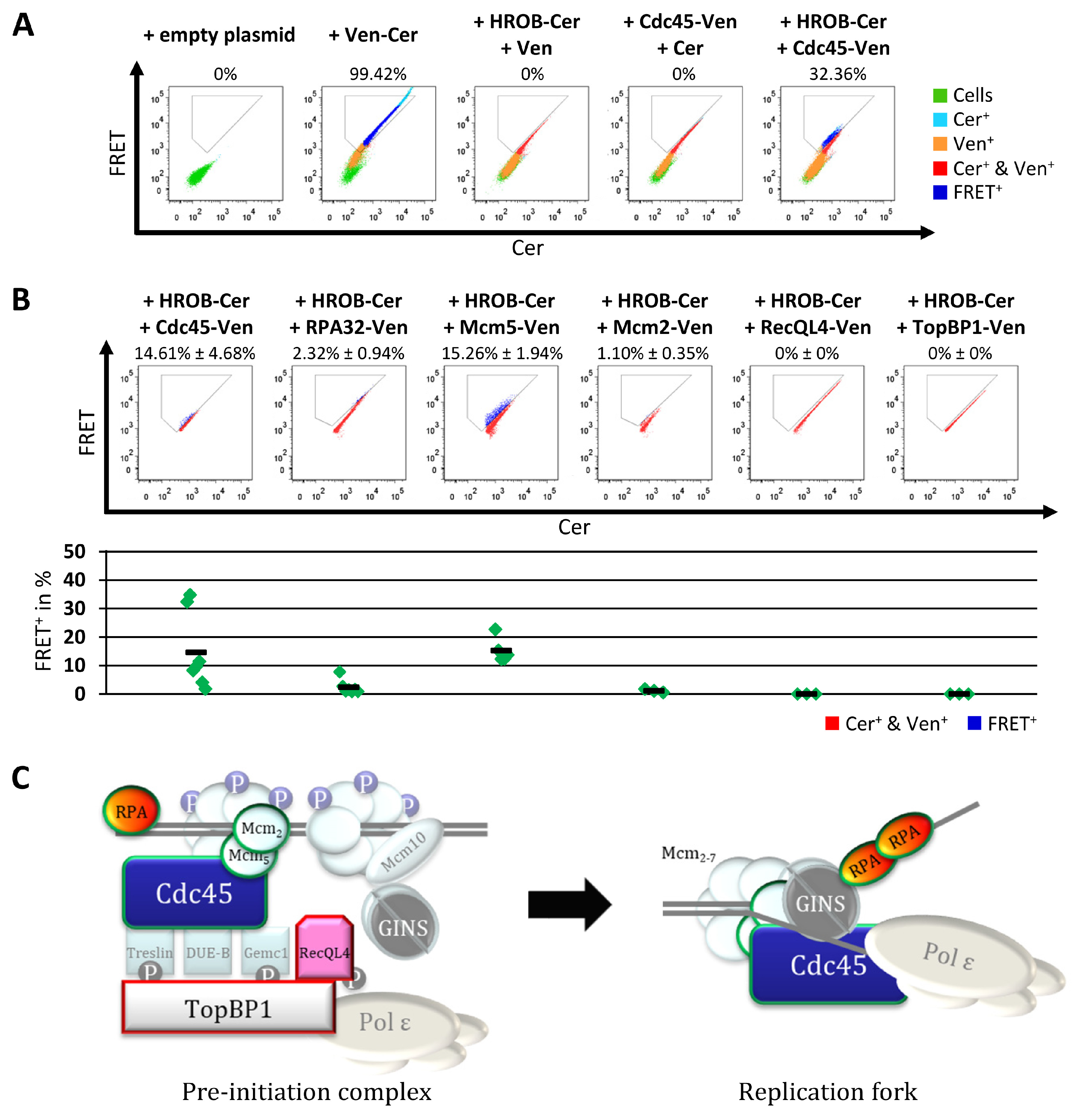 Genes 15 01587 g004