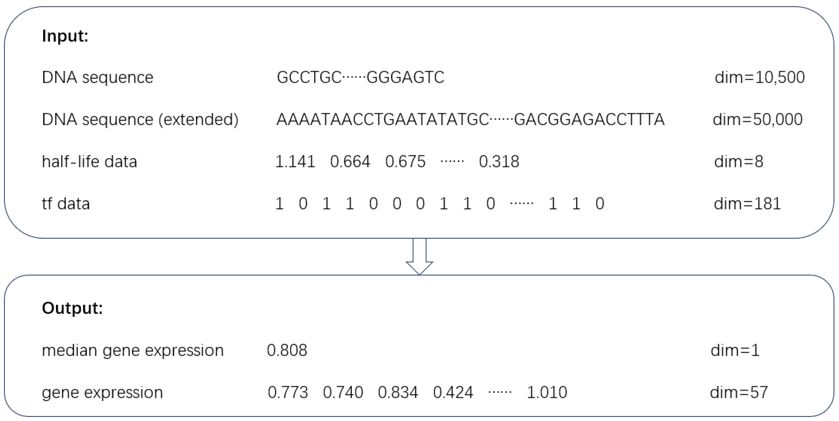 Genes 15 01593 g001