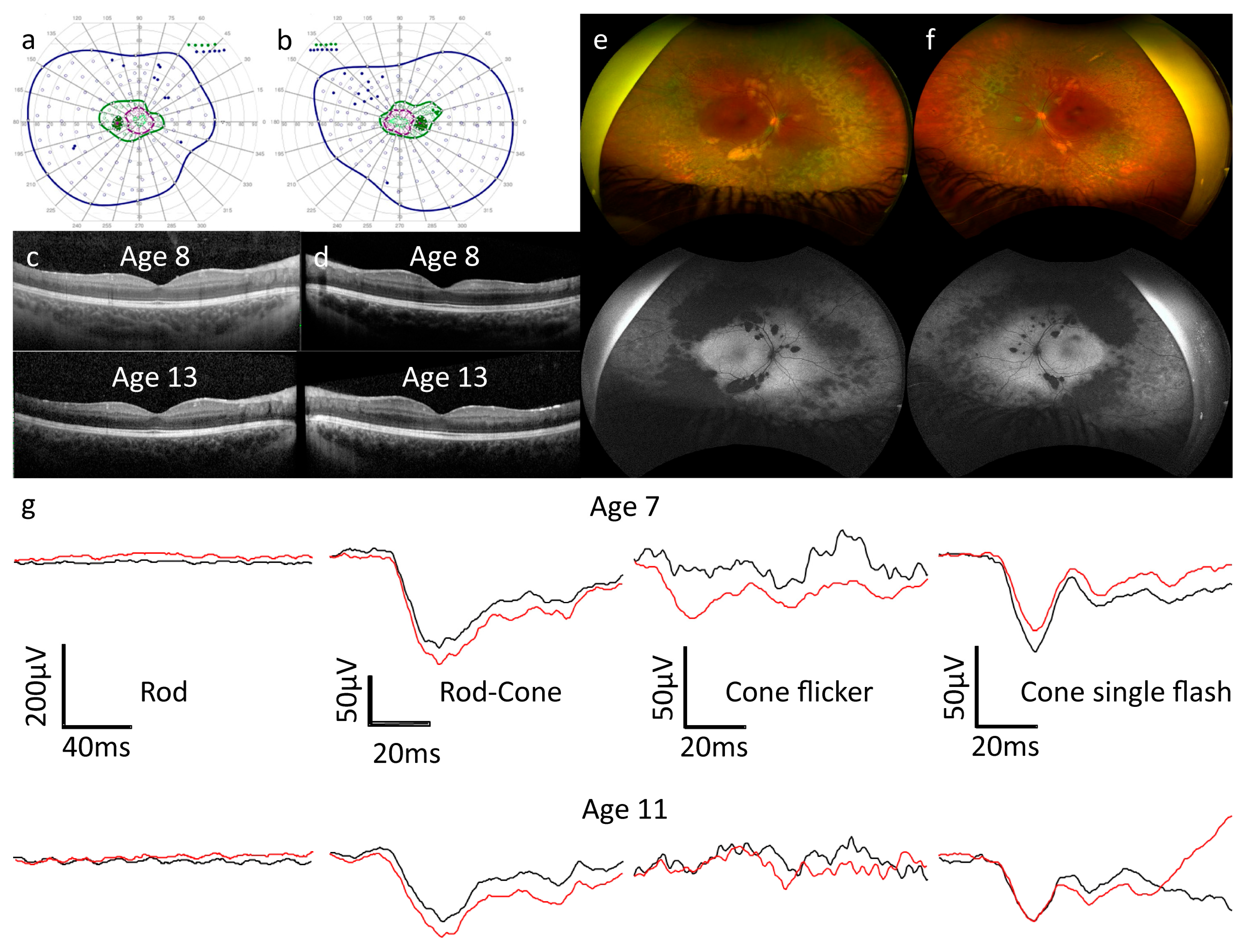 Genes 15 01594 g001 Genes 15 01594 g001