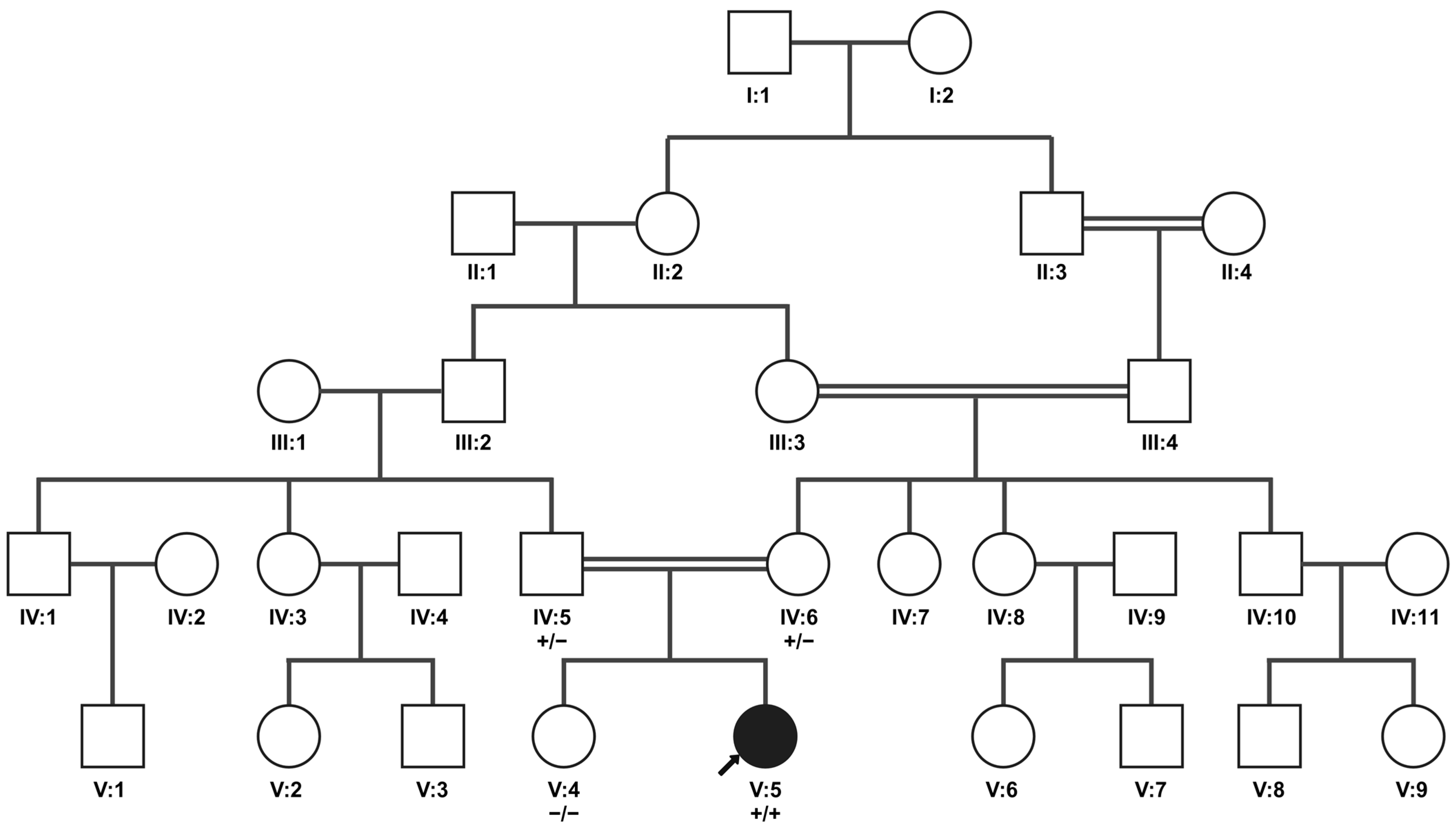 Genes 15 01594 g003 Genes 15 01594 g003