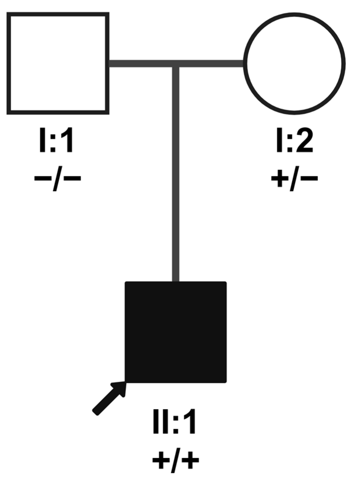 Genes 15 01594 g004 Genes 15 01594 g004
