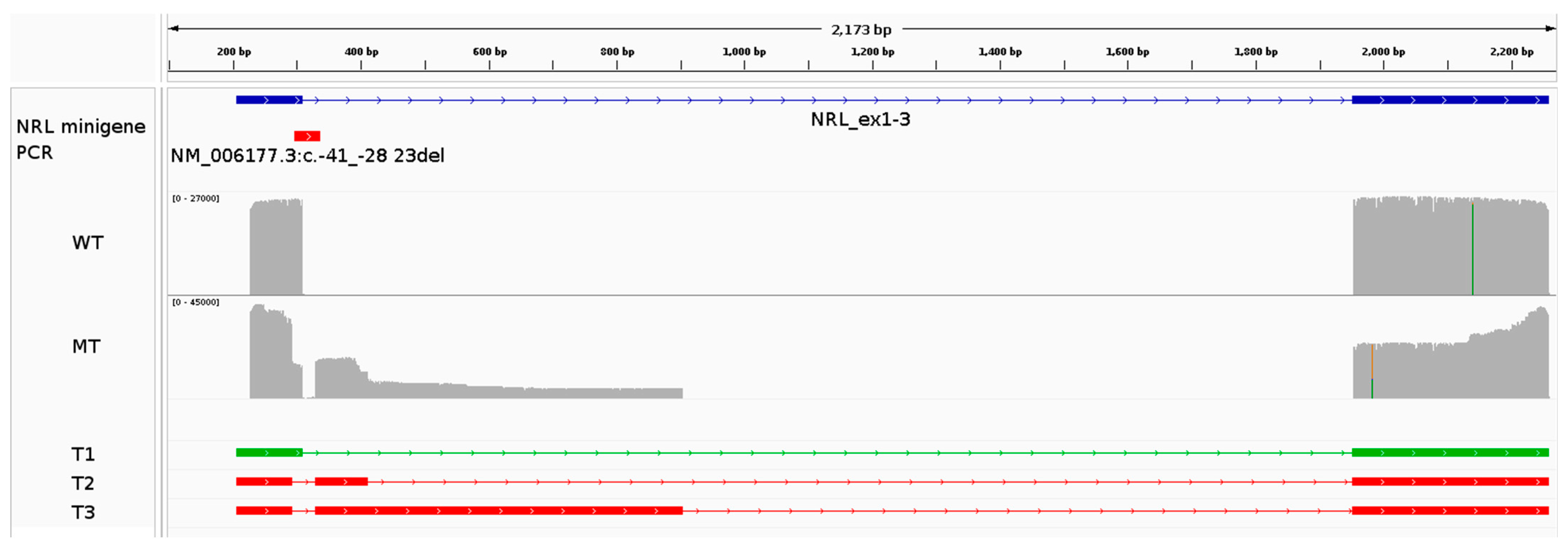 Genes 15 01594 g005 Genes 15 01594 g005