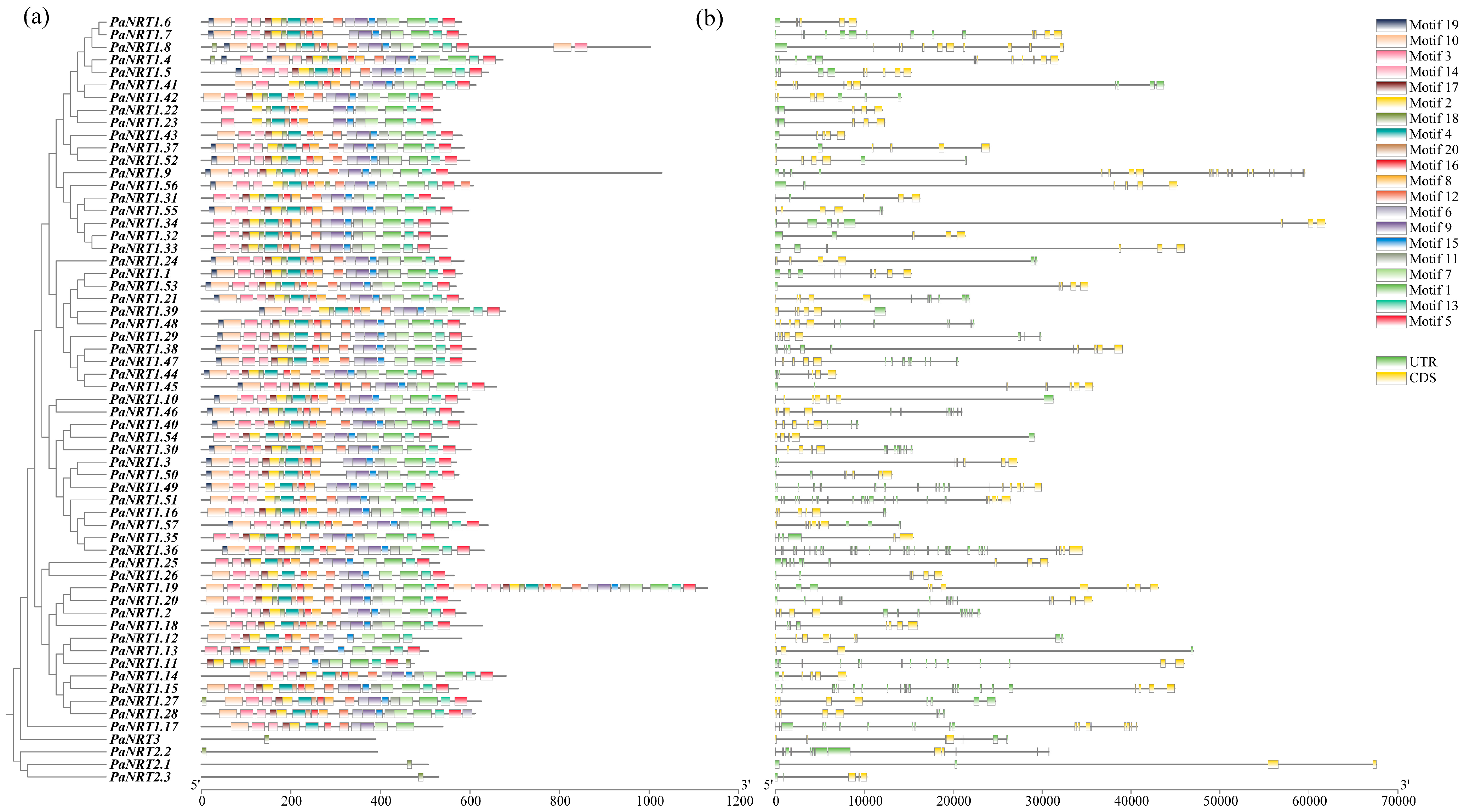 Genes 15 01600 g003