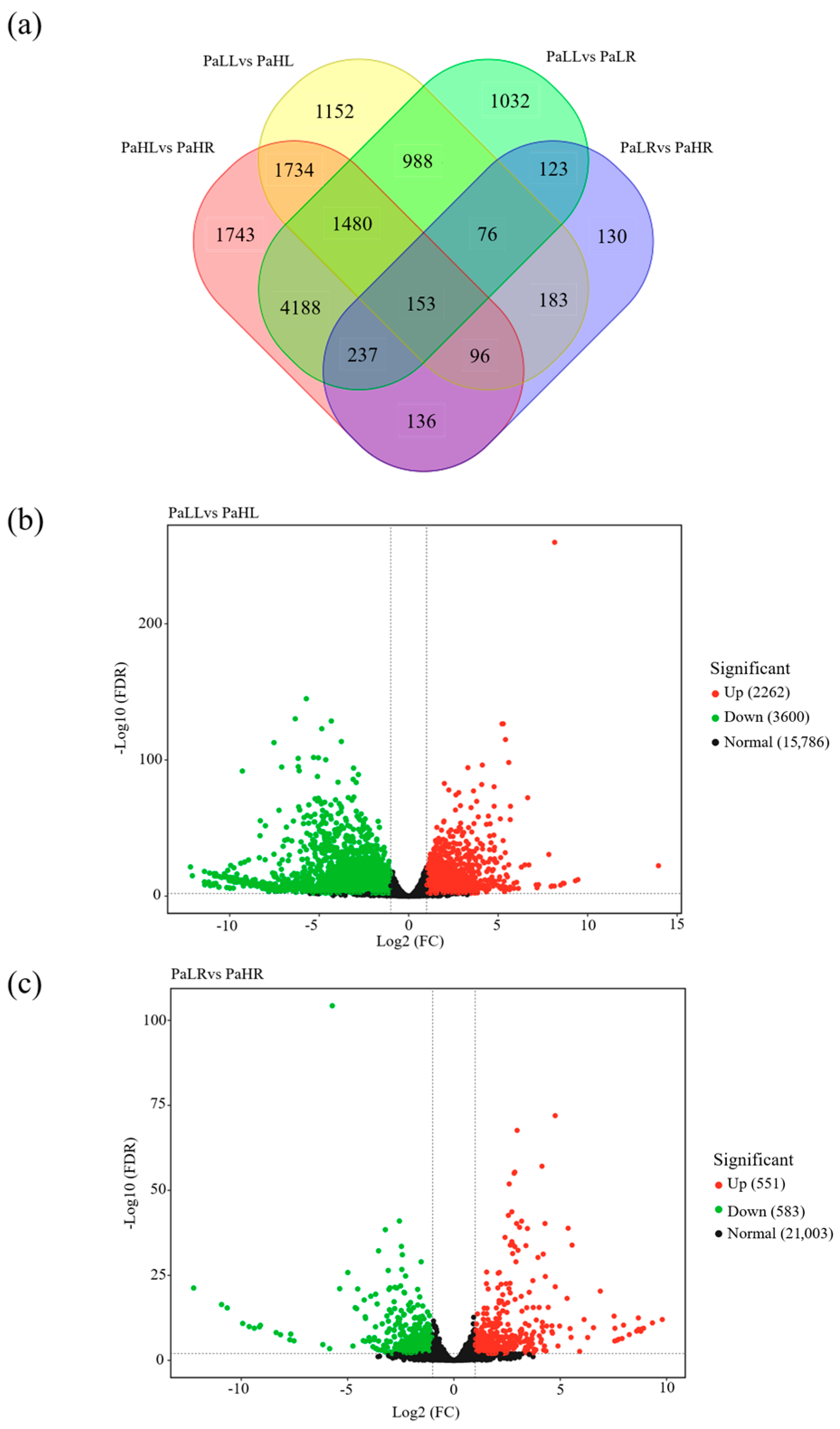 Genes 15 01600 g005