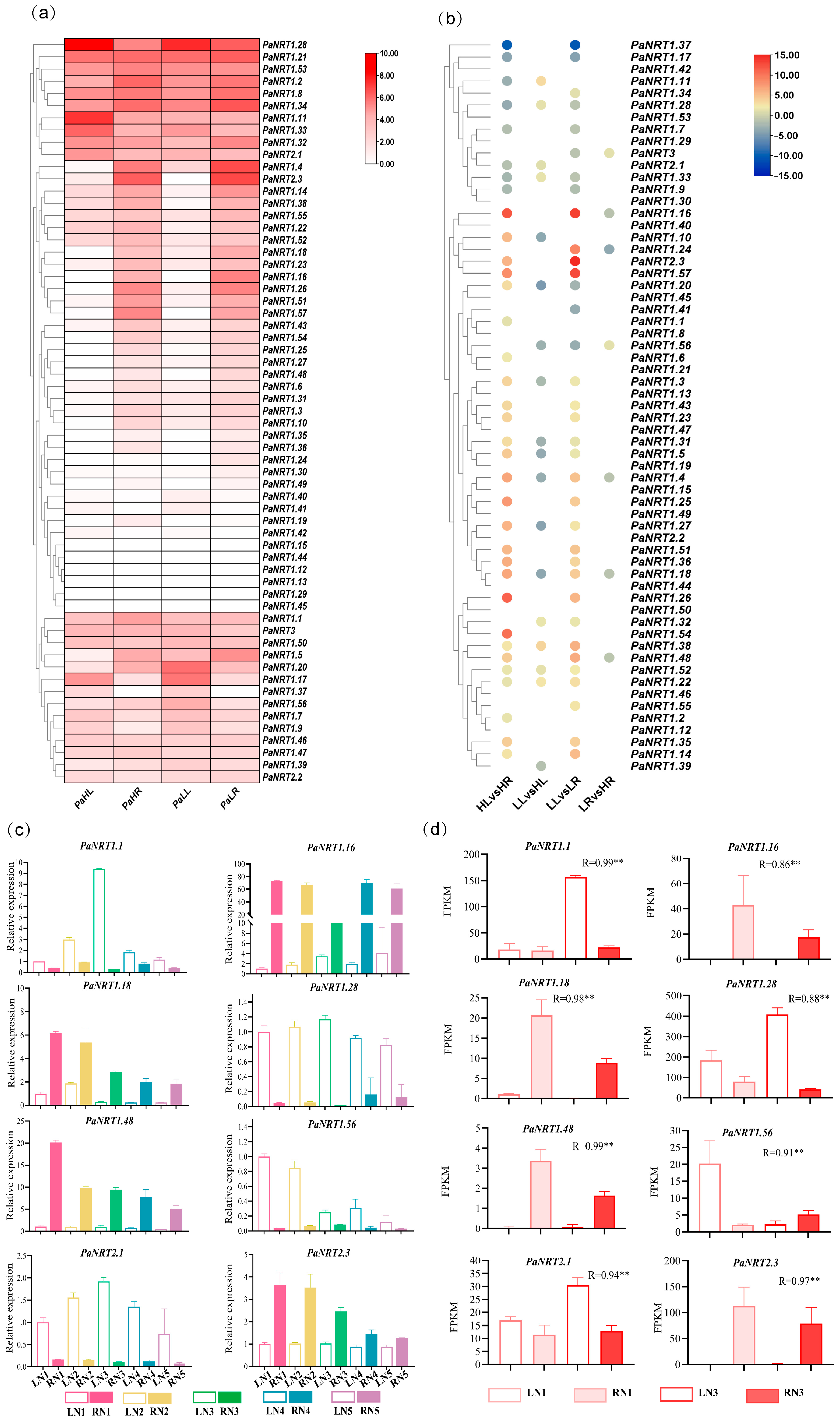 Genes 15 01600 g006