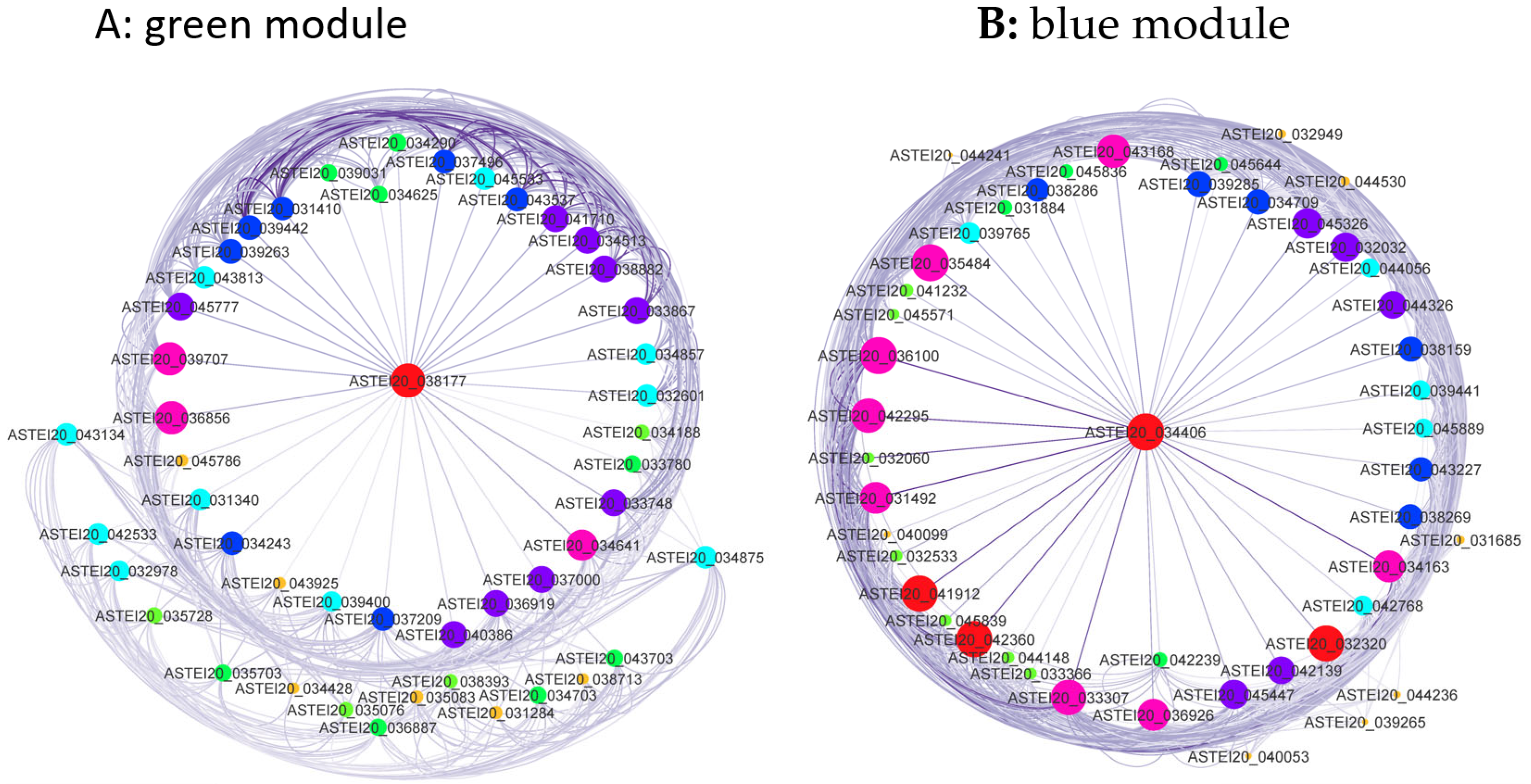 Genes 15 01603 g007