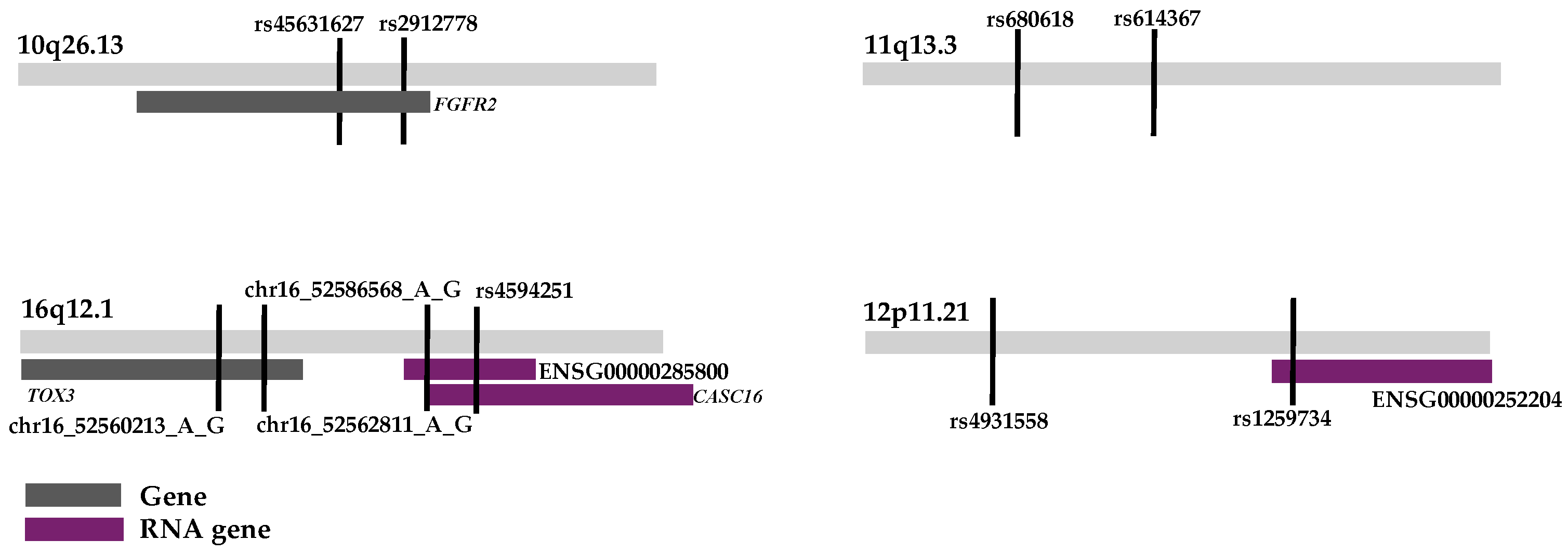 Genes 15 01616 g001