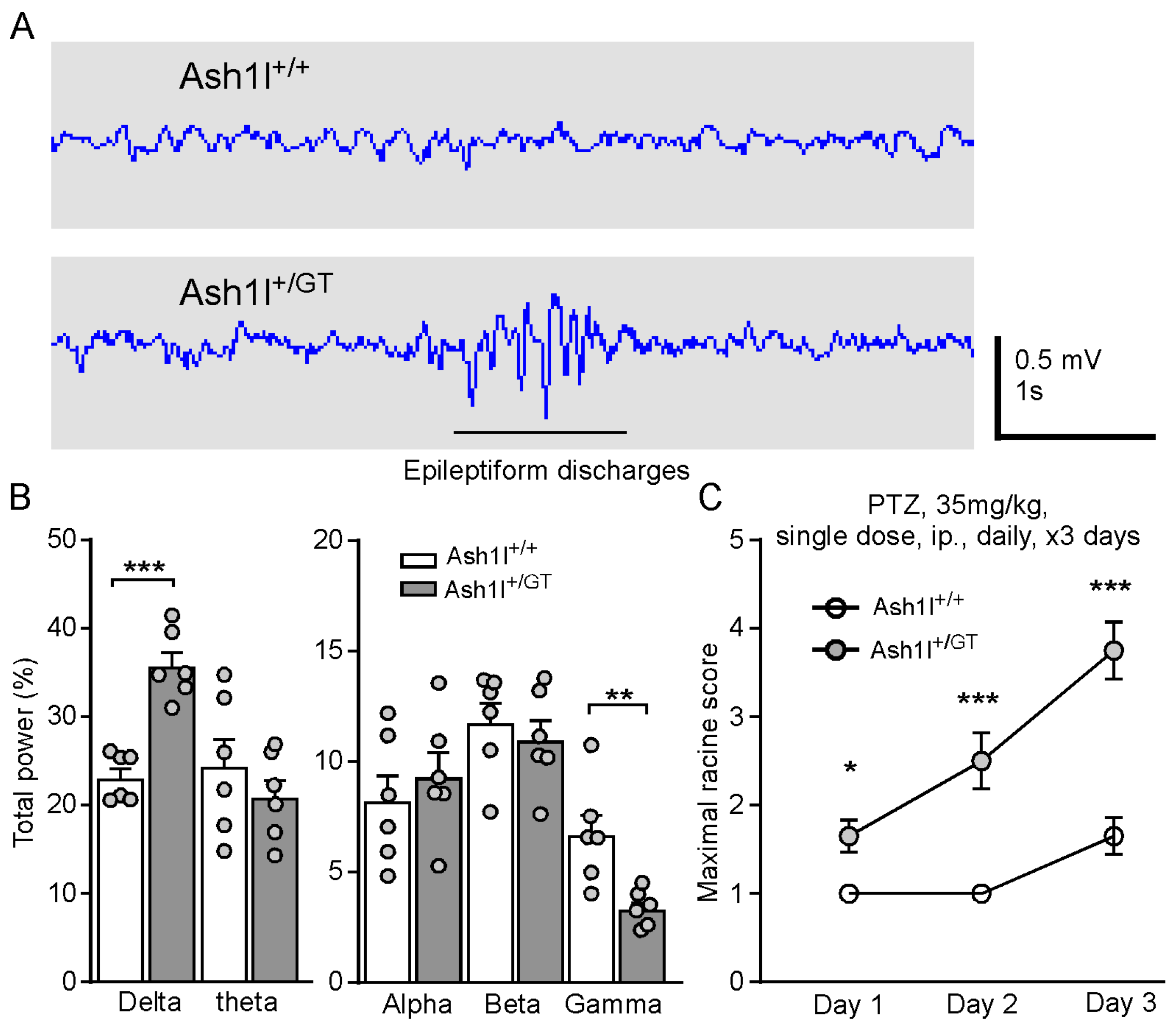 Genes 15 01619 g003