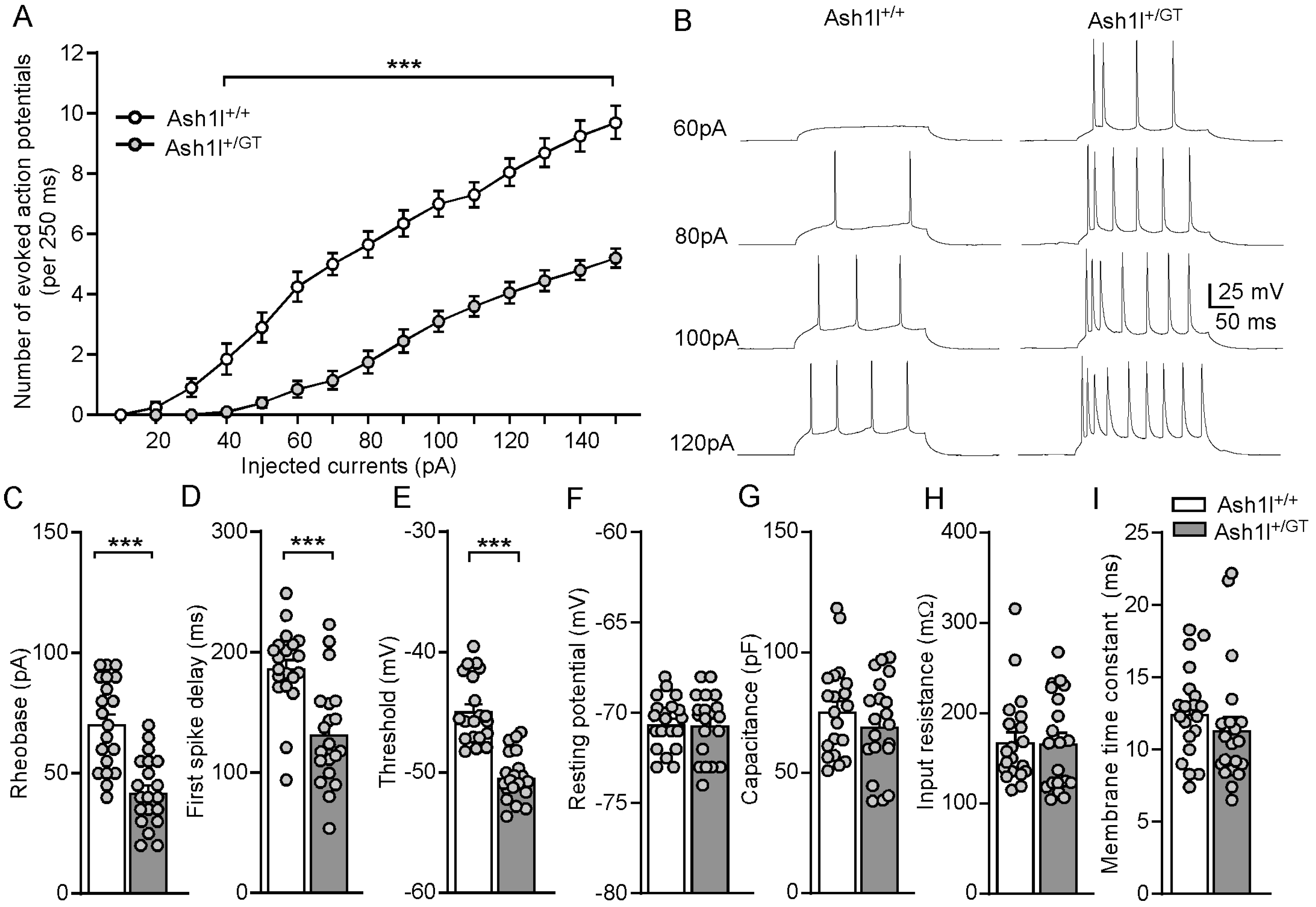 Genes 15 01619 g004