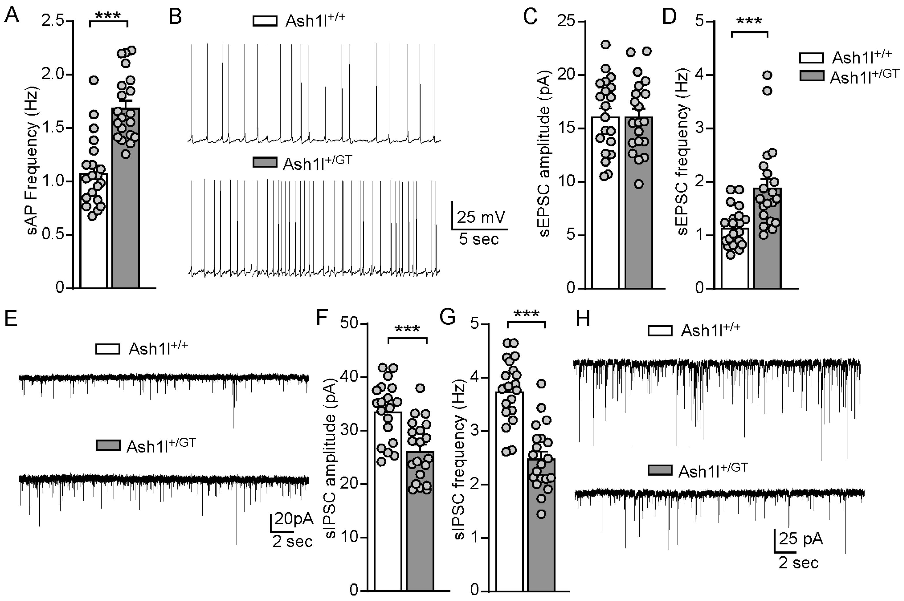 Genes 15 01619 g005