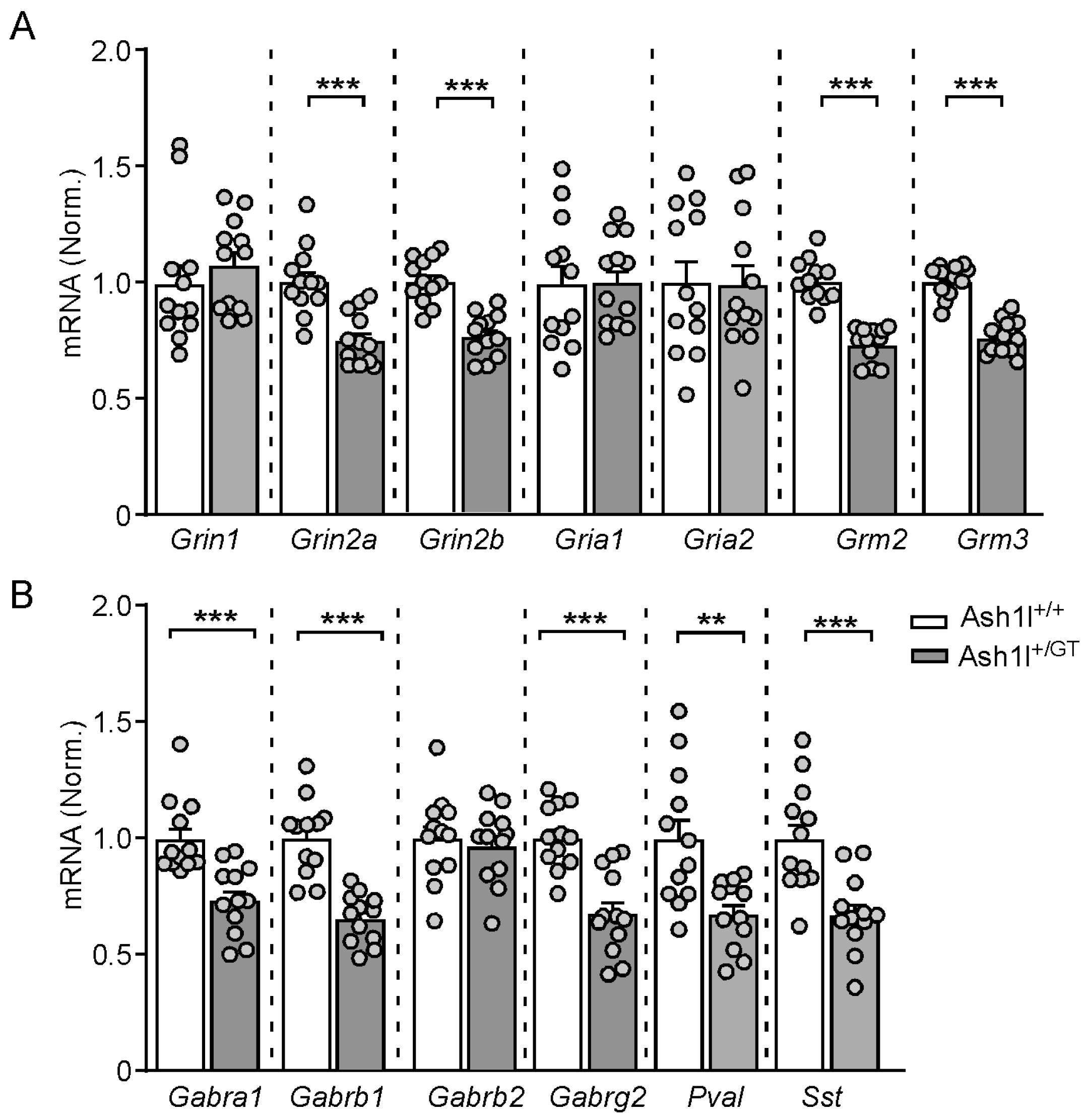 Genes 15 01619 g006
