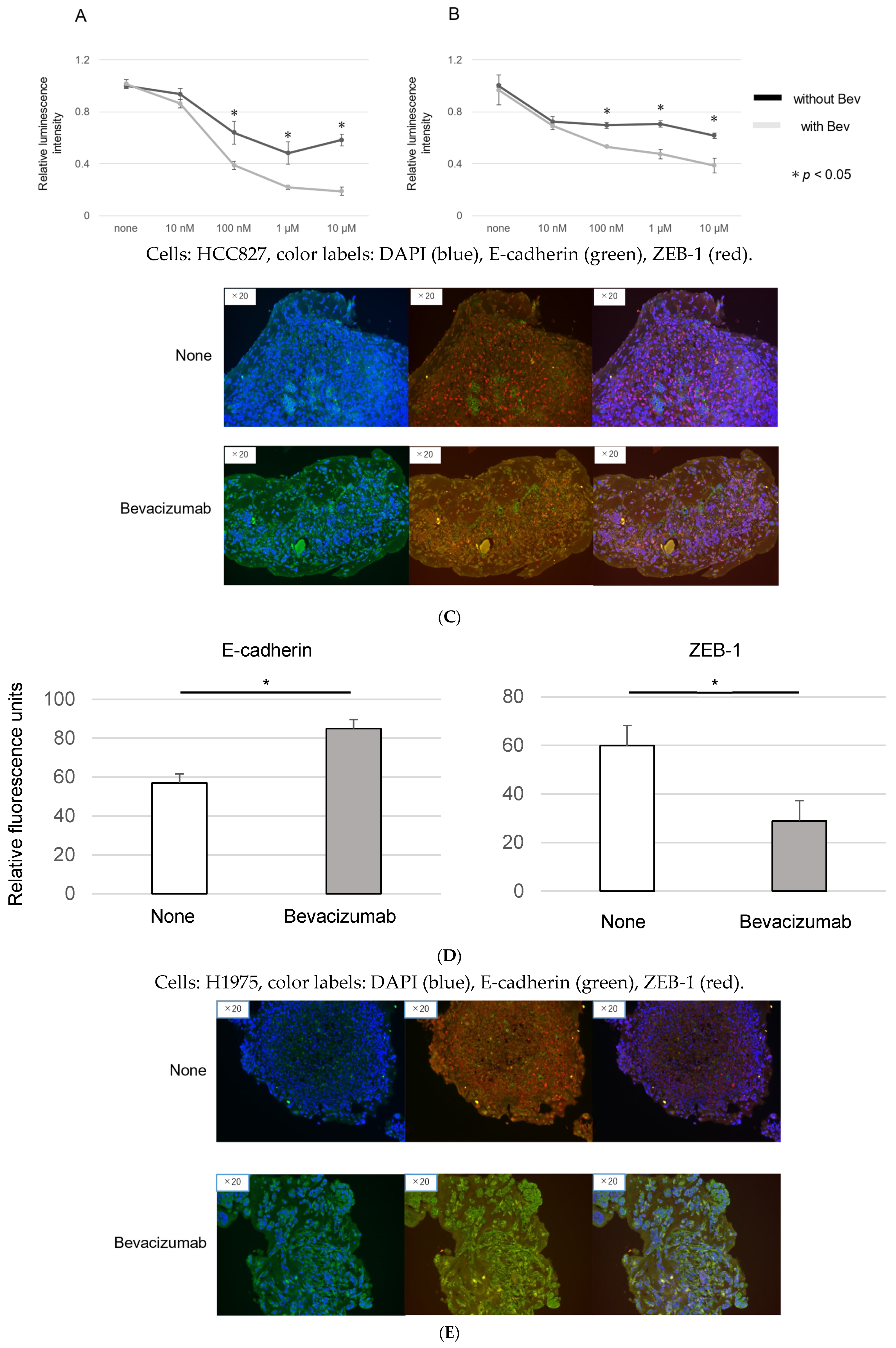 Genes 15 01624 g004a