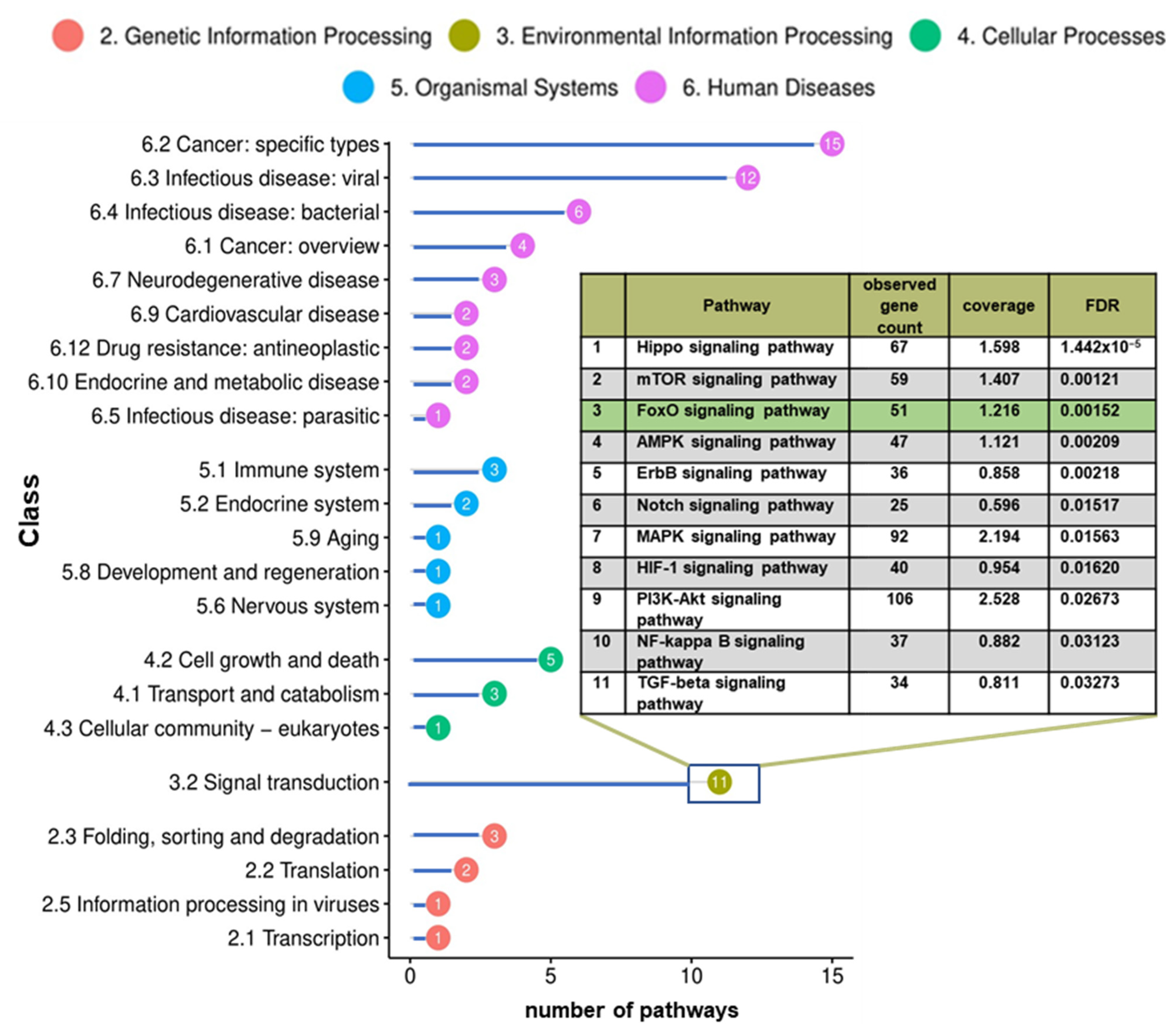 Genes 15 01625 g004