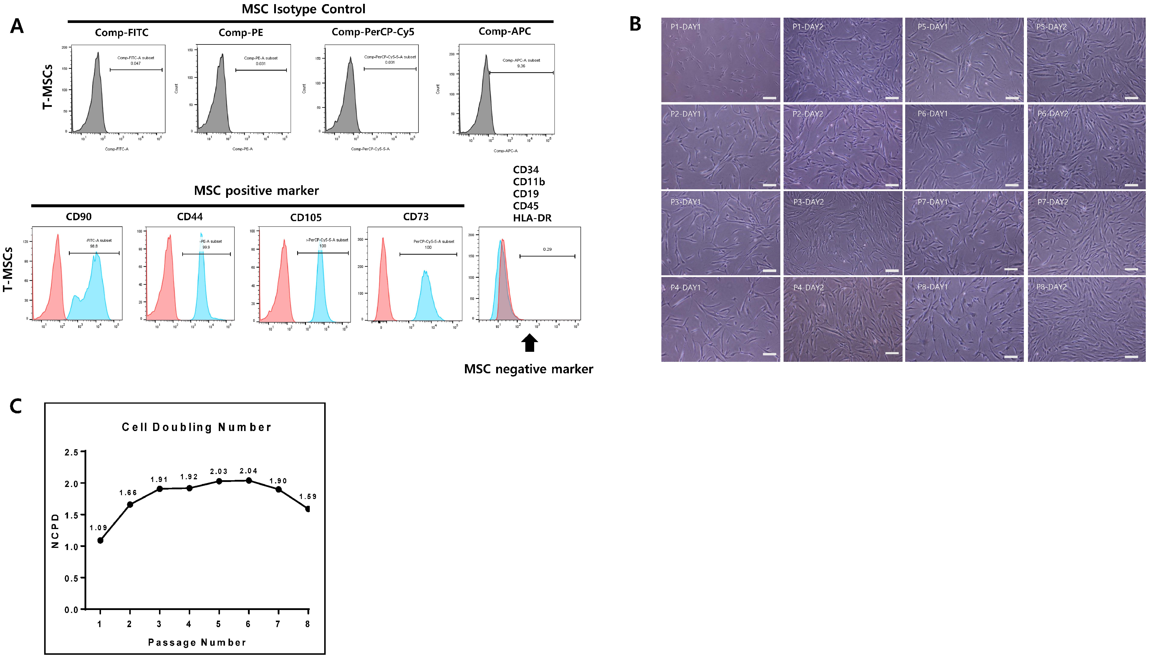 Genes 15 01626 g001