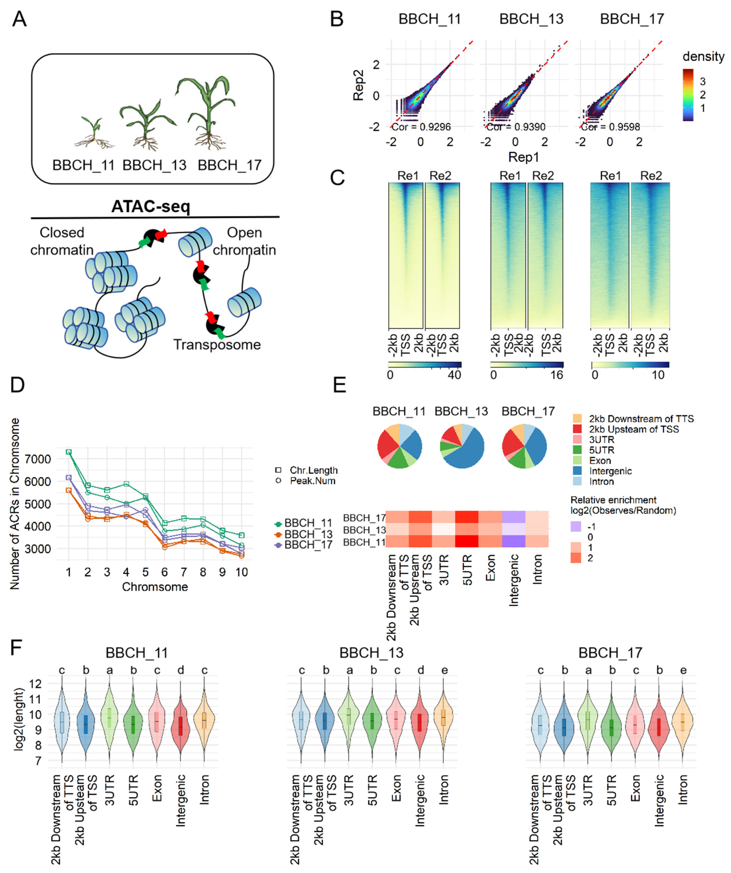 Genes 15 01630 g001