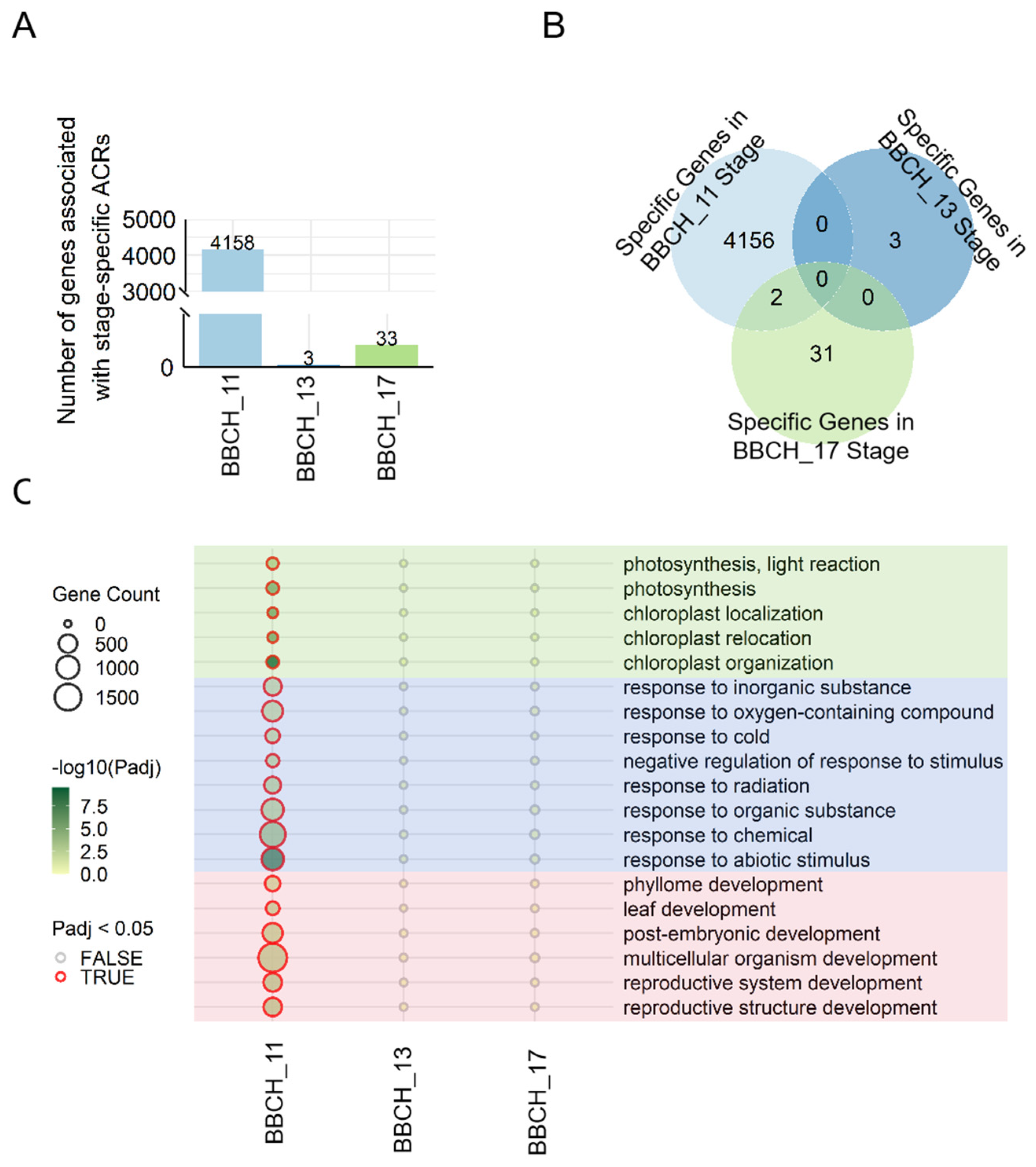 Genes 15 01630 g004