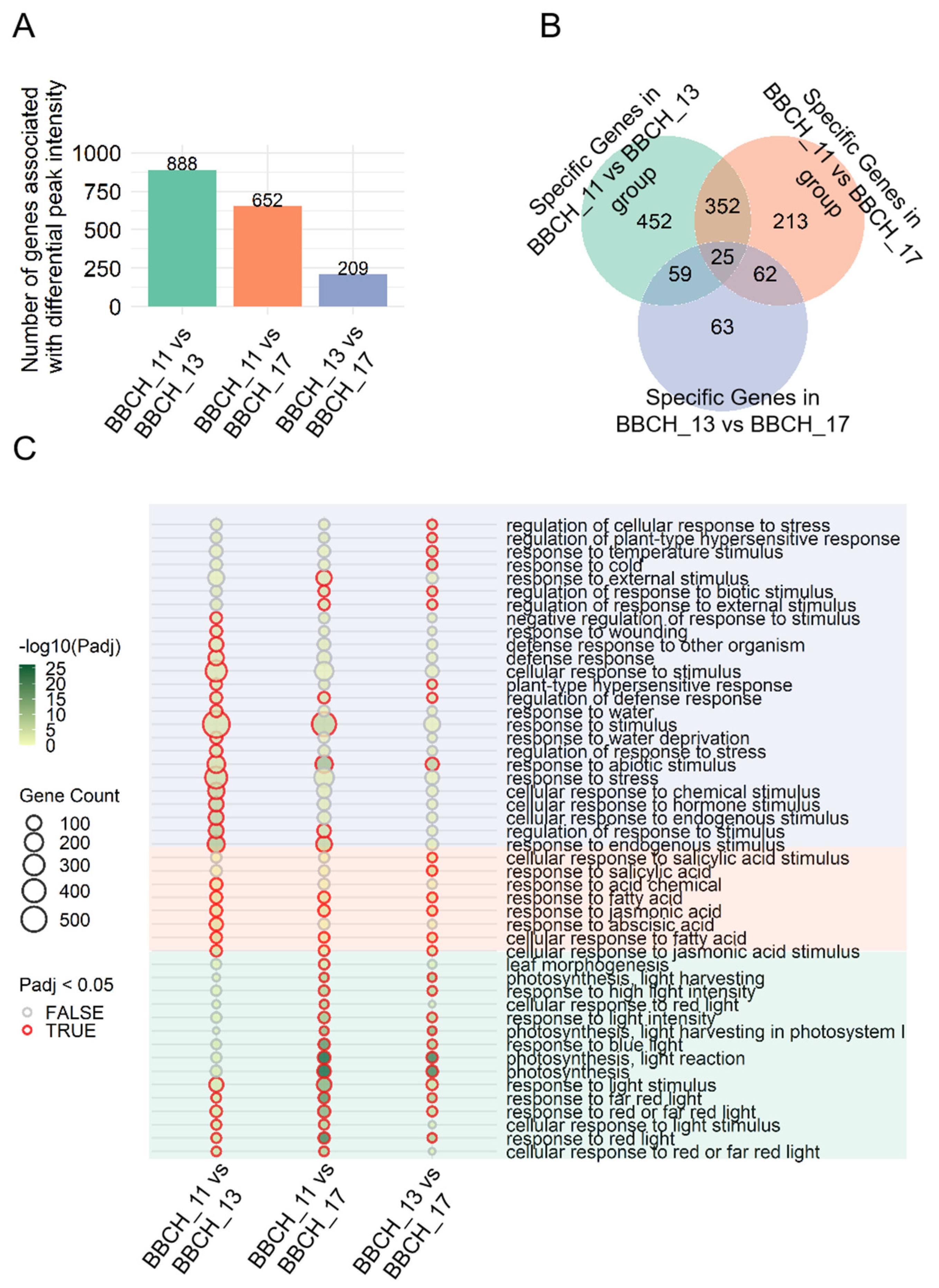 Genes 15 01630 g005