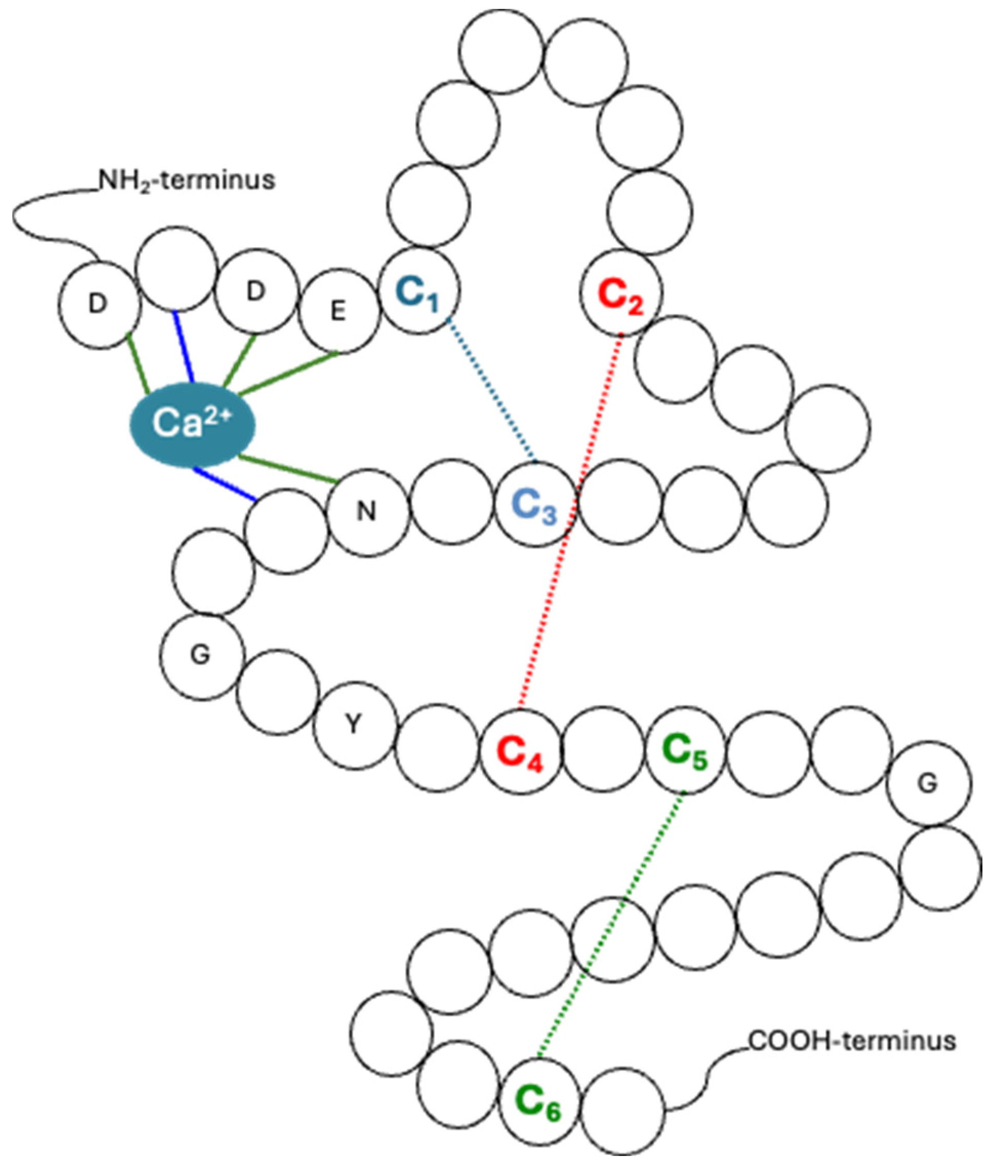 Genes 15 01632 g001 Genes 15 01632 g001