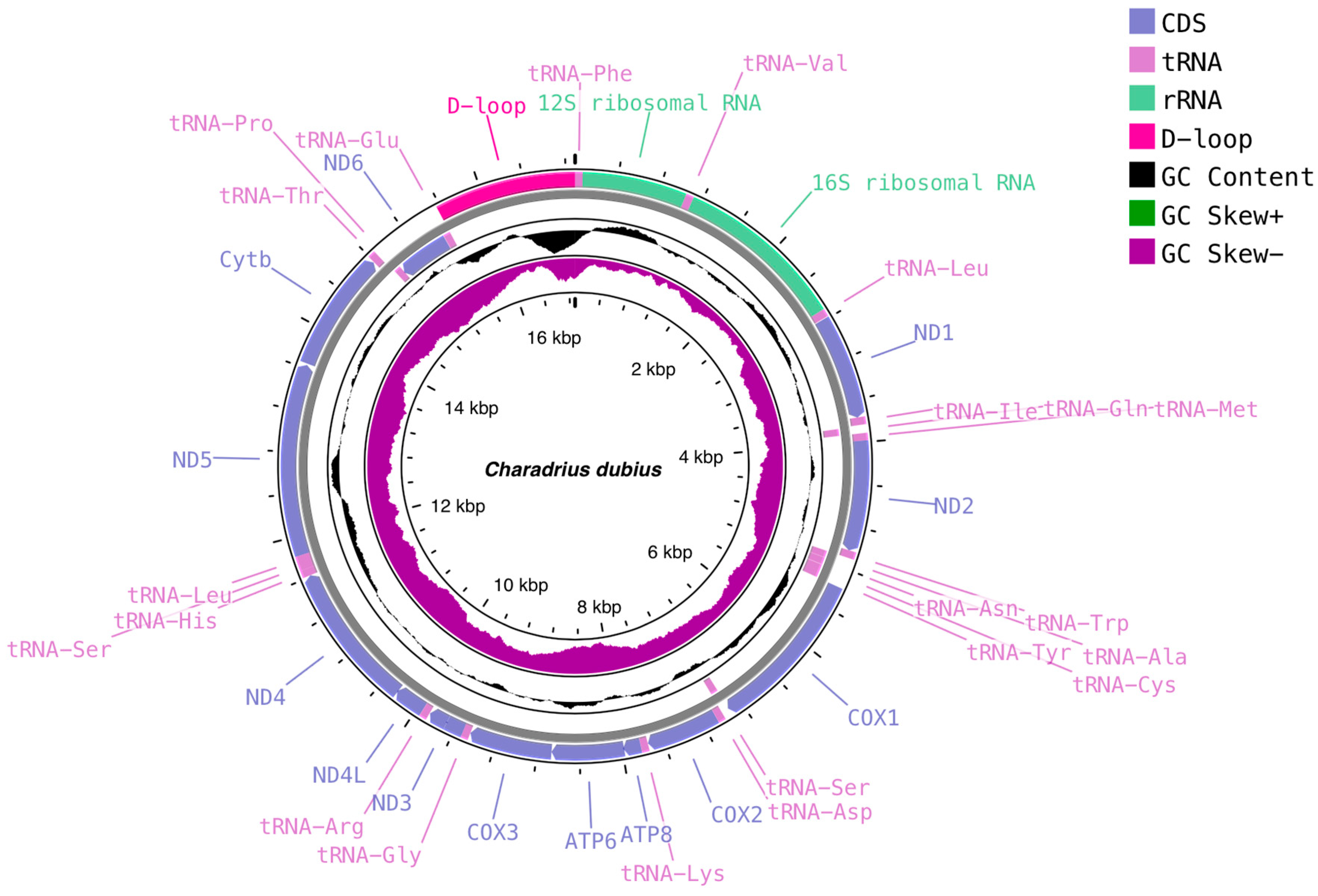 Genes 15 01642 g001a