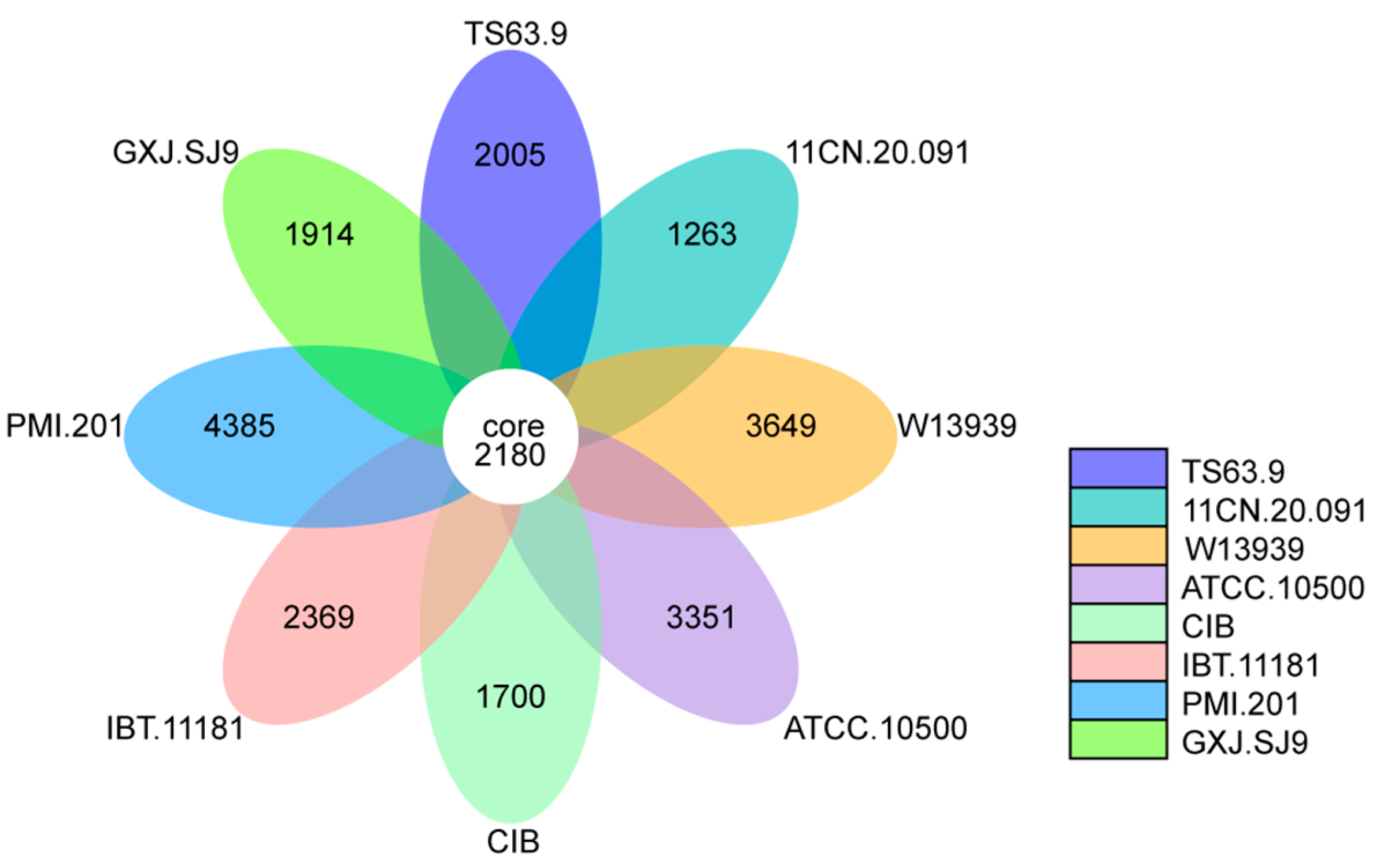Genes 15 01643 g006