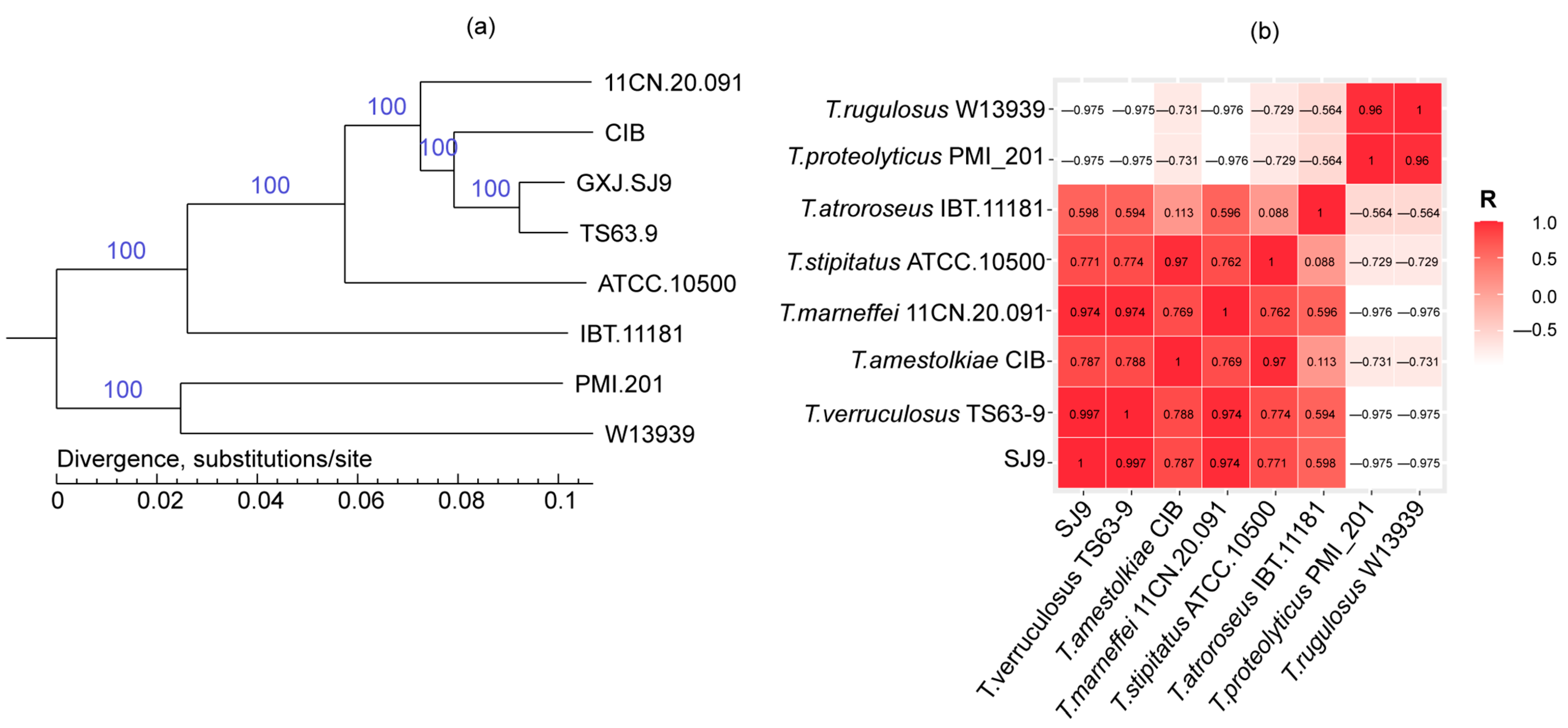 Genes 15 01643 g007