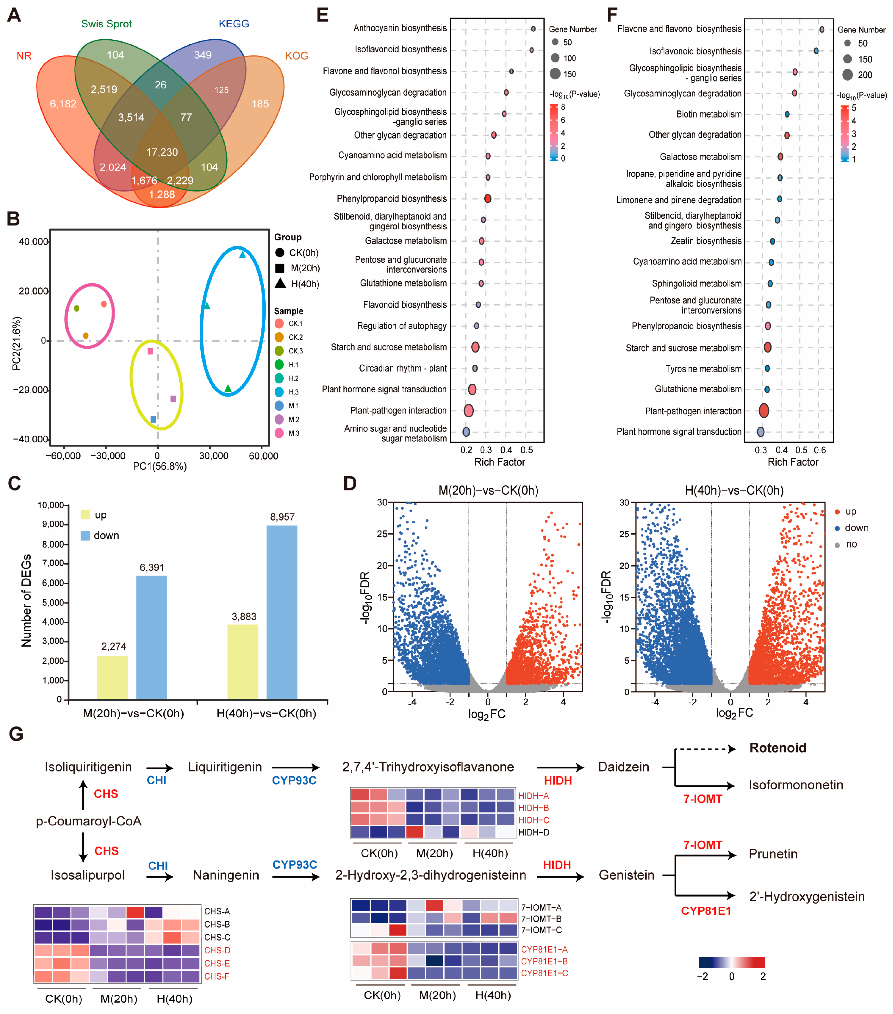 Genes 15 01644 g002