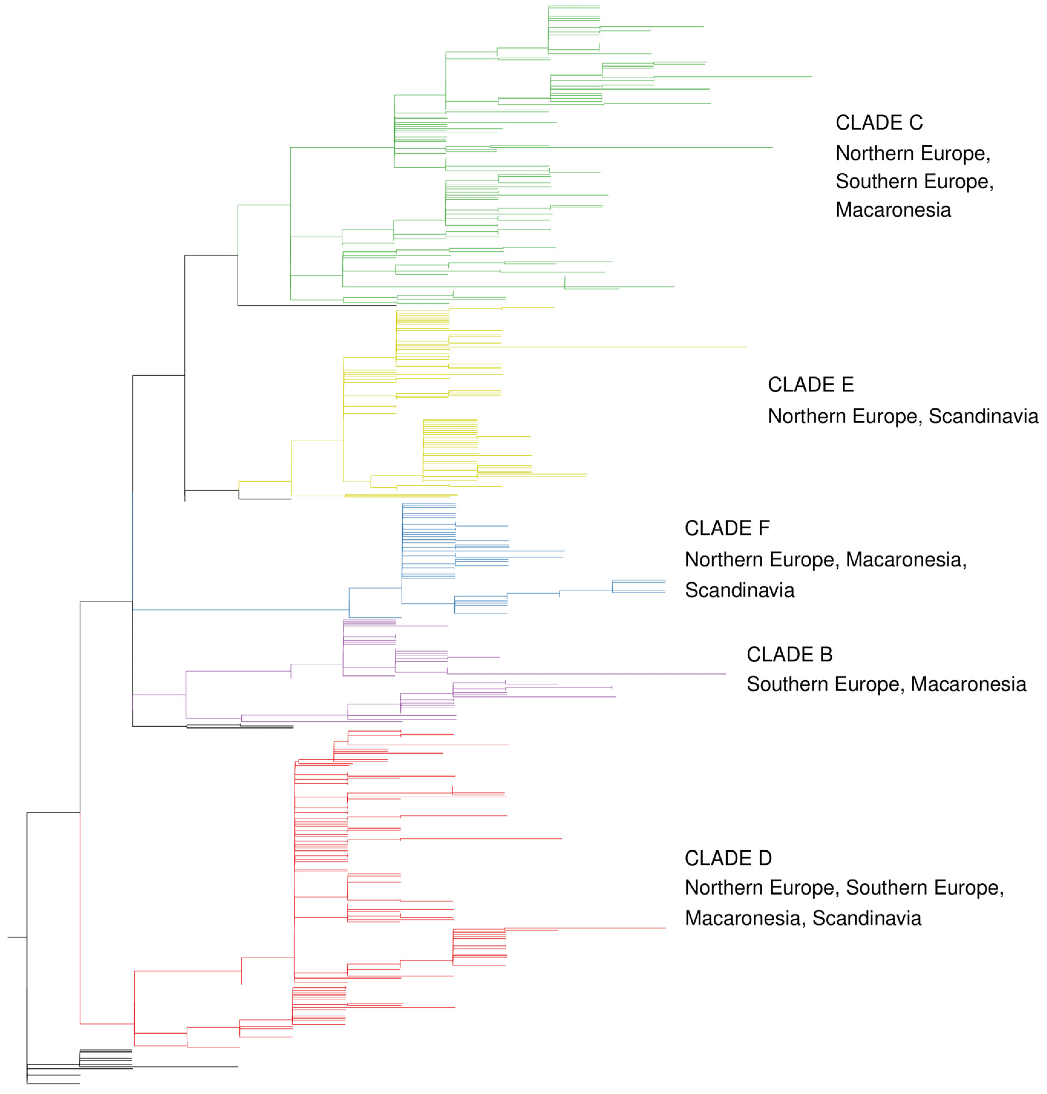 Genes 15 01645 g001 Genes 15 01645 g001