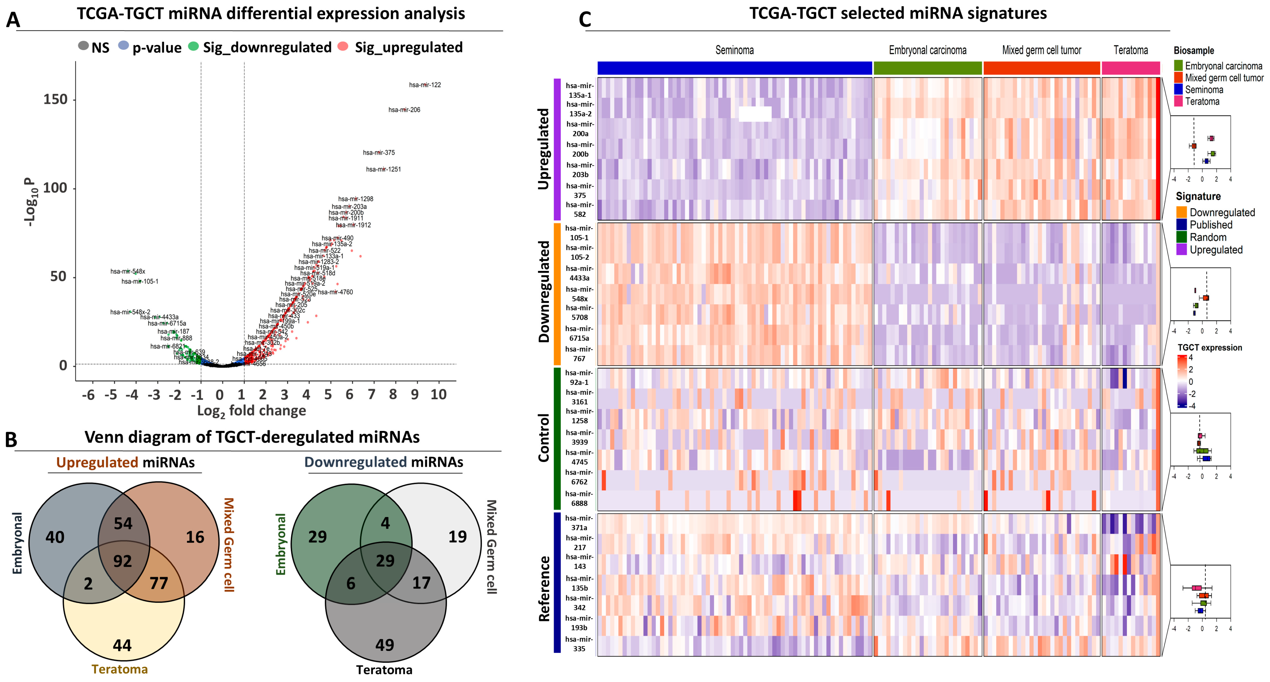 Genes 15 01649 g001