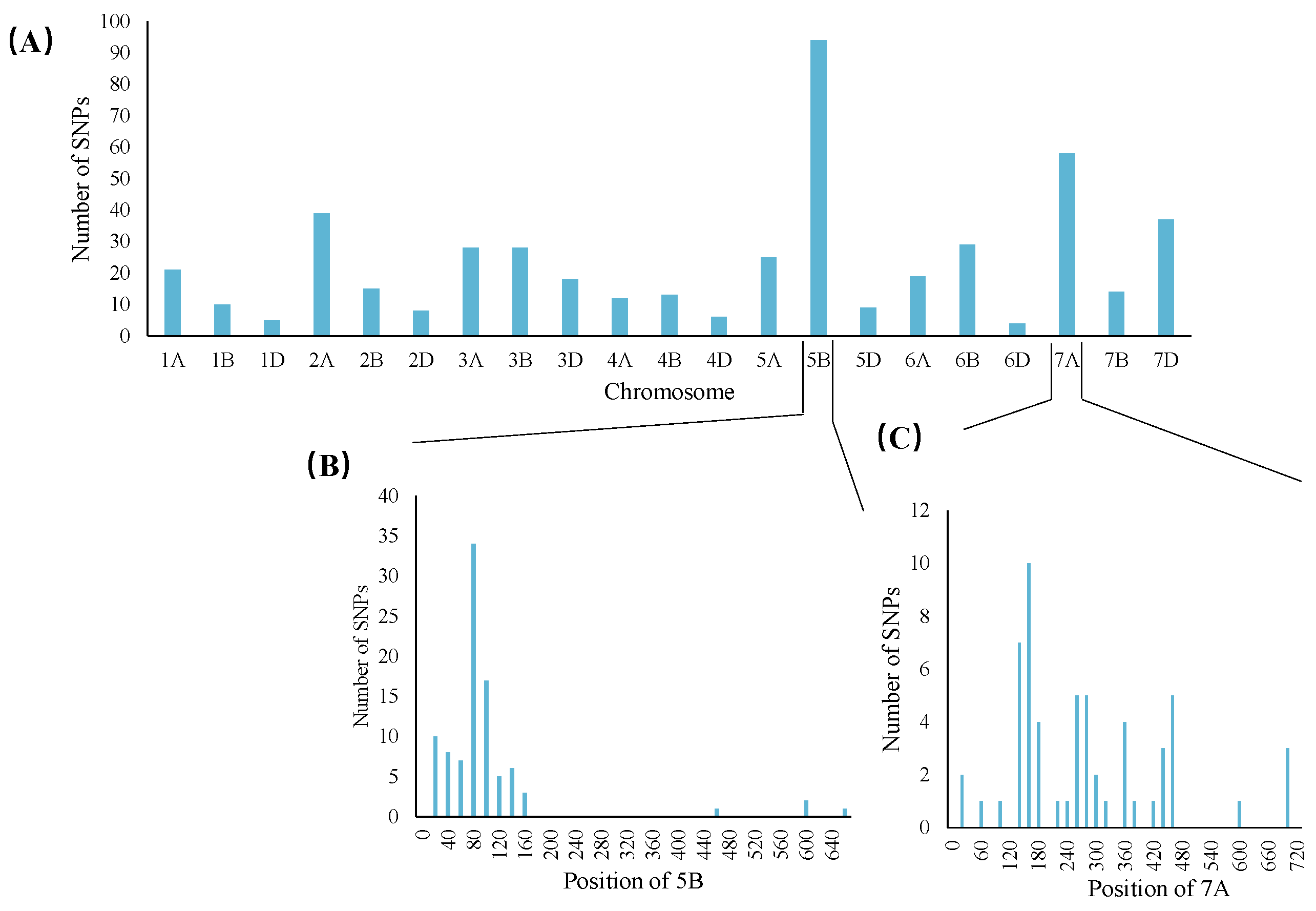 Genes 15 01652 g004 Genes 15 01652 g004