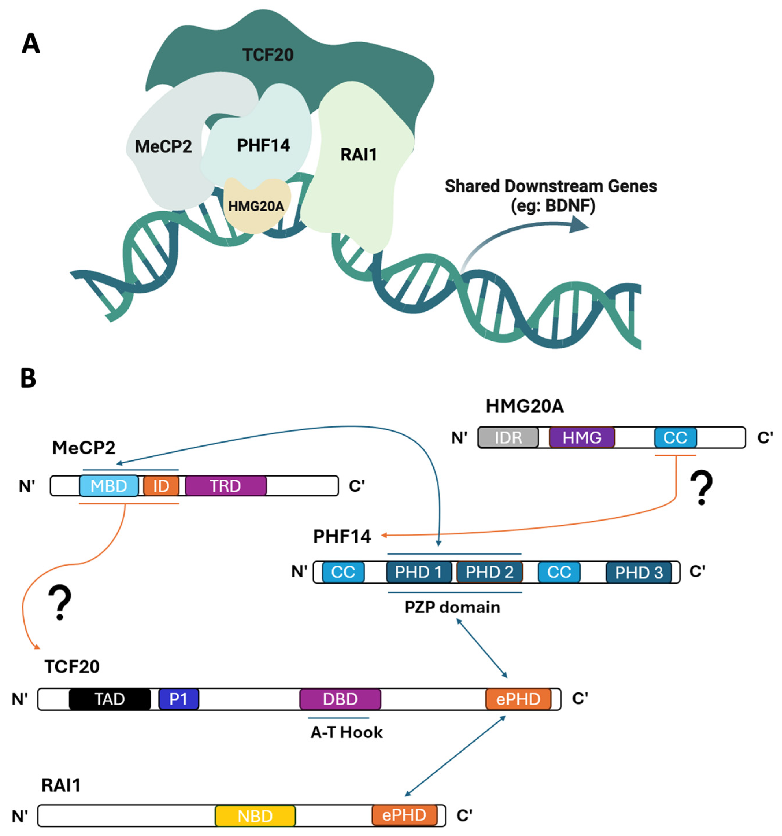 Genes 15 01653 g001 Genes 15 01653 g001