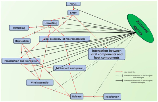 Chemical and Biological Investigations of Antiviral Agents