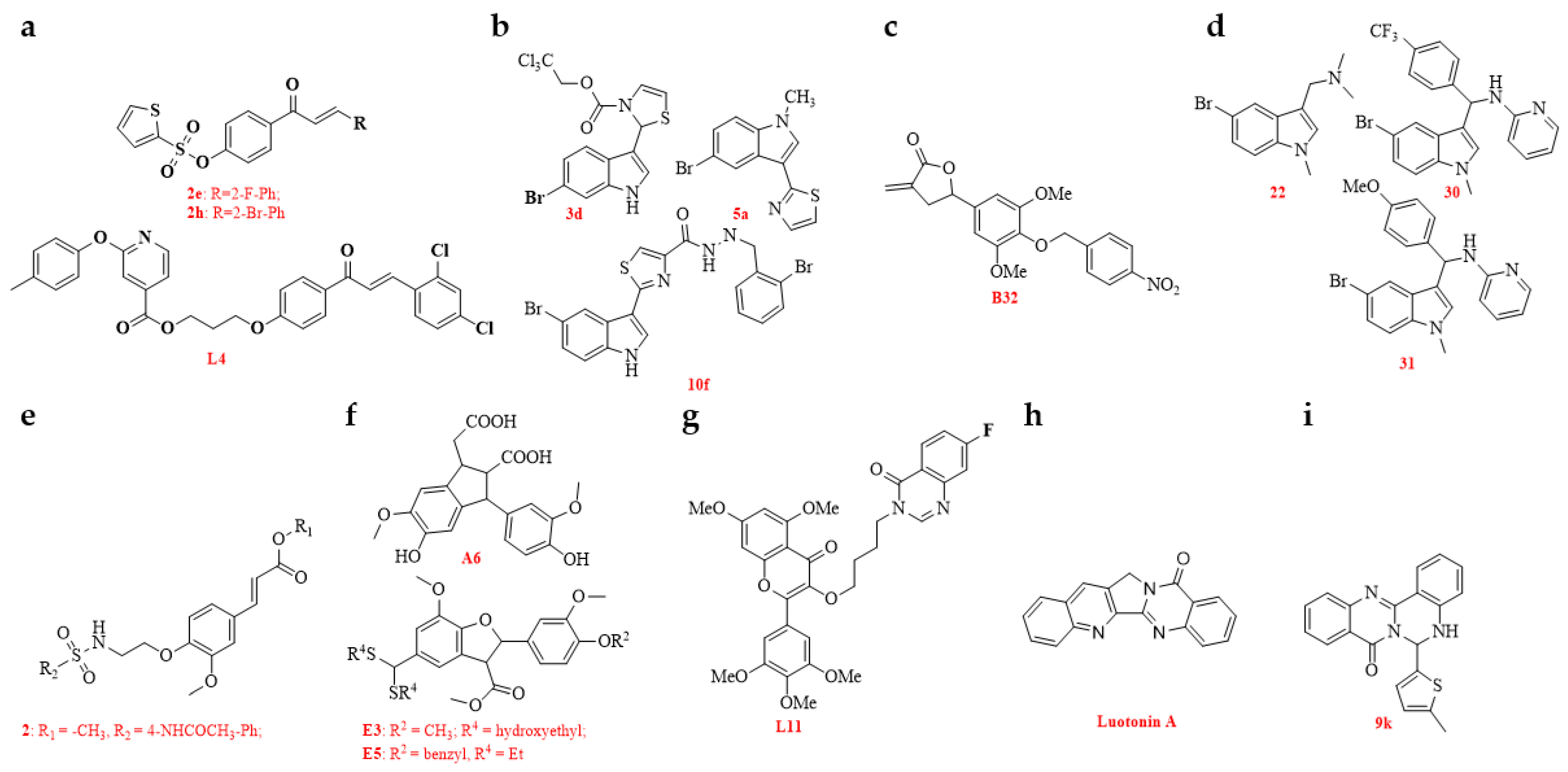 Genes 15 01654 g005