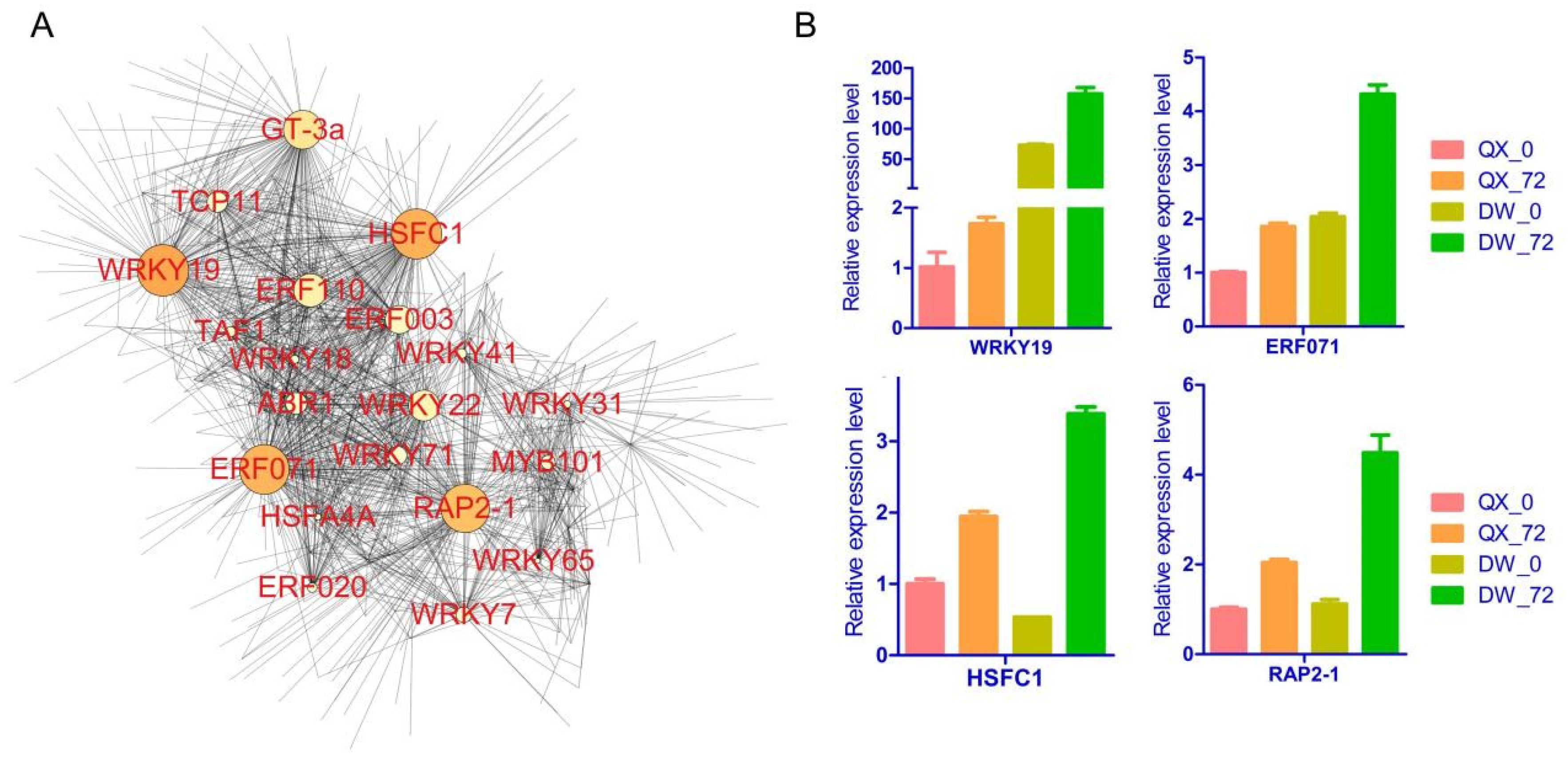 Genes 16 00002 g006
