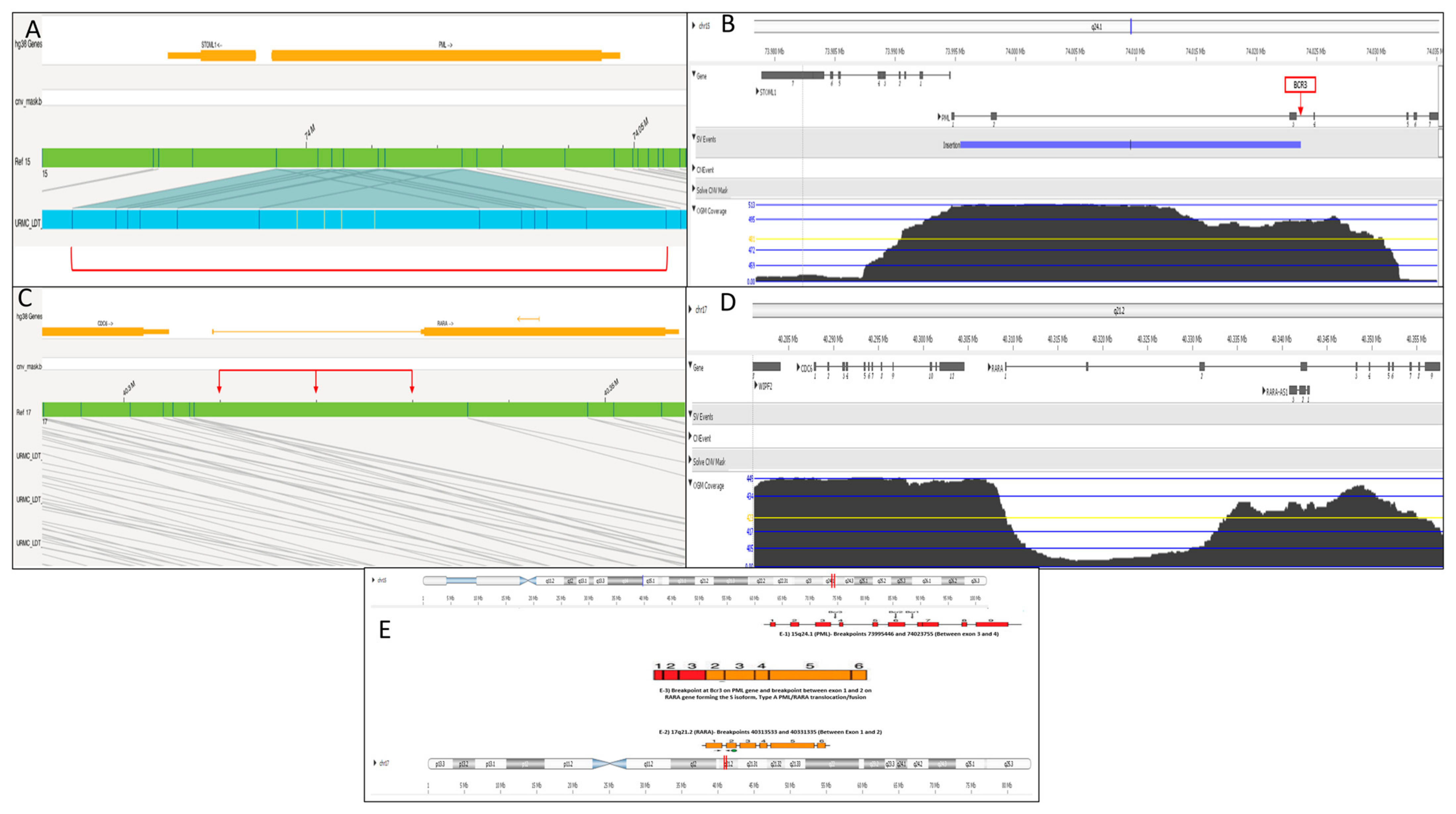 Genes 16 00007 g003 Genes 16 00007 g003