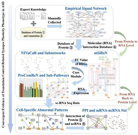 Transcriptomic Evidence Reveals the Dysfunctional Mechanism of