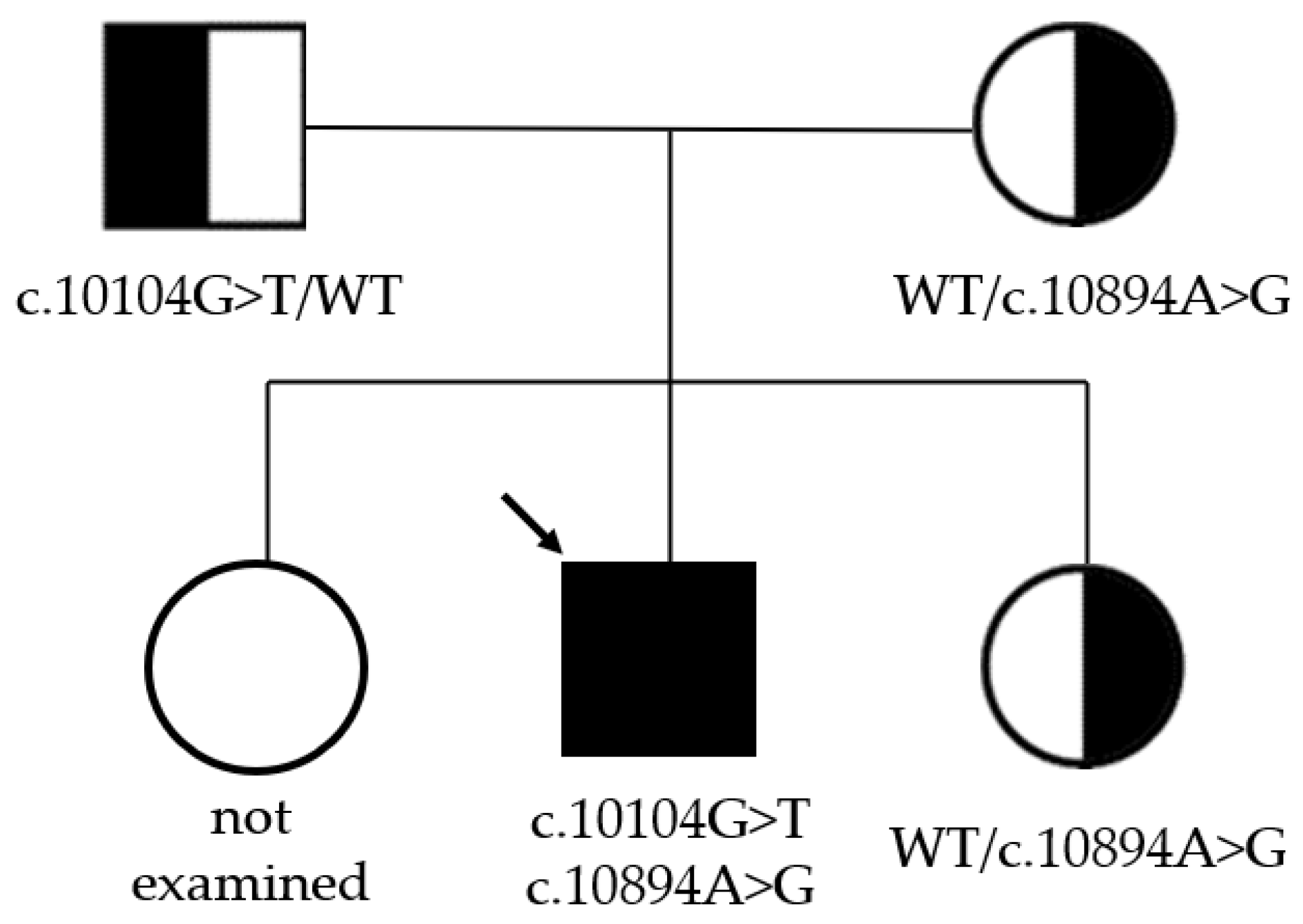 Genes 16 00018 g003