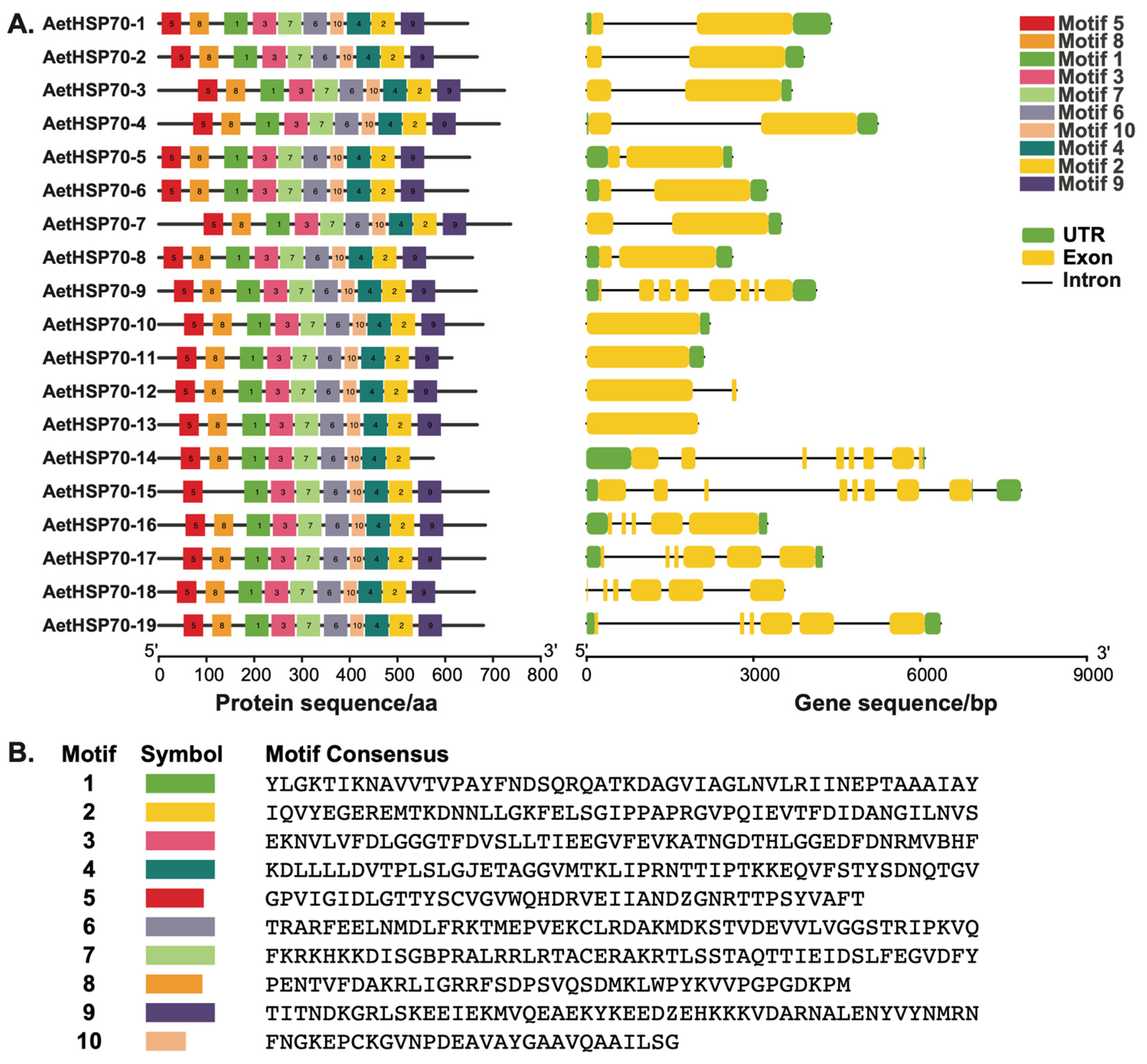 Genes 16 00019 g002 Genes 16 00019 g002