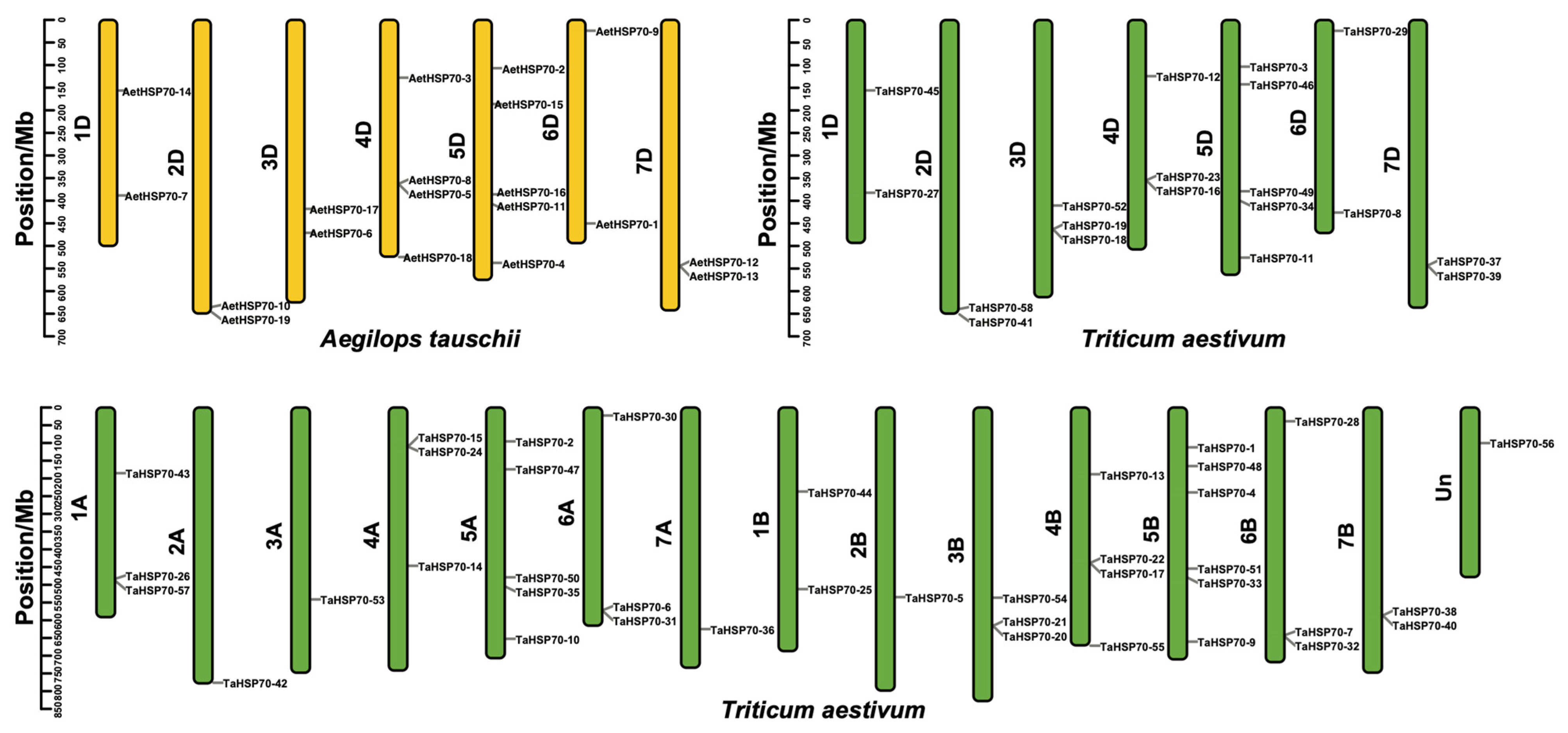Genes 16 00019 g003 Genes 16 00019 g003