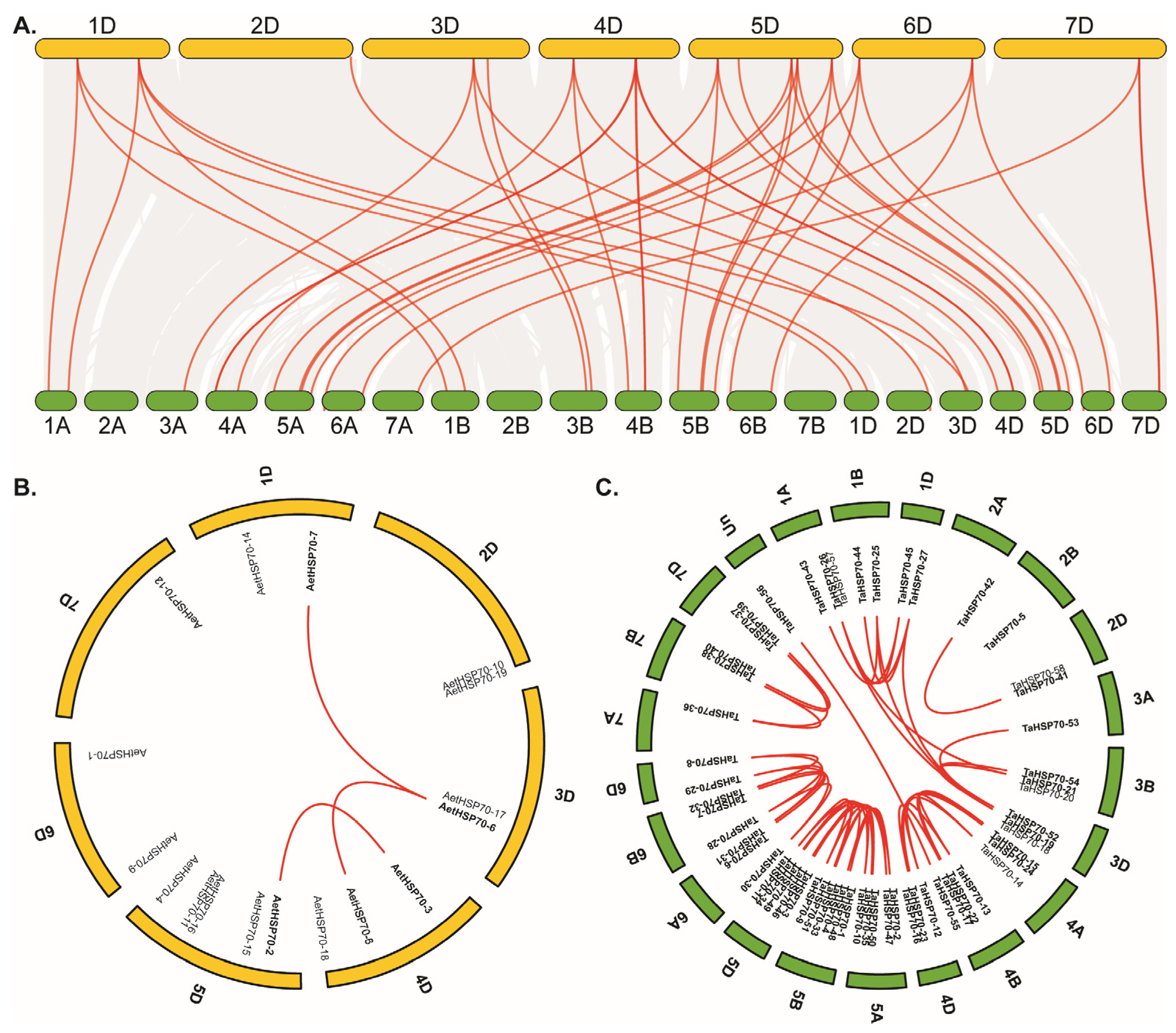 Genes 16 00019 g004 Genes 16 00019 g004
