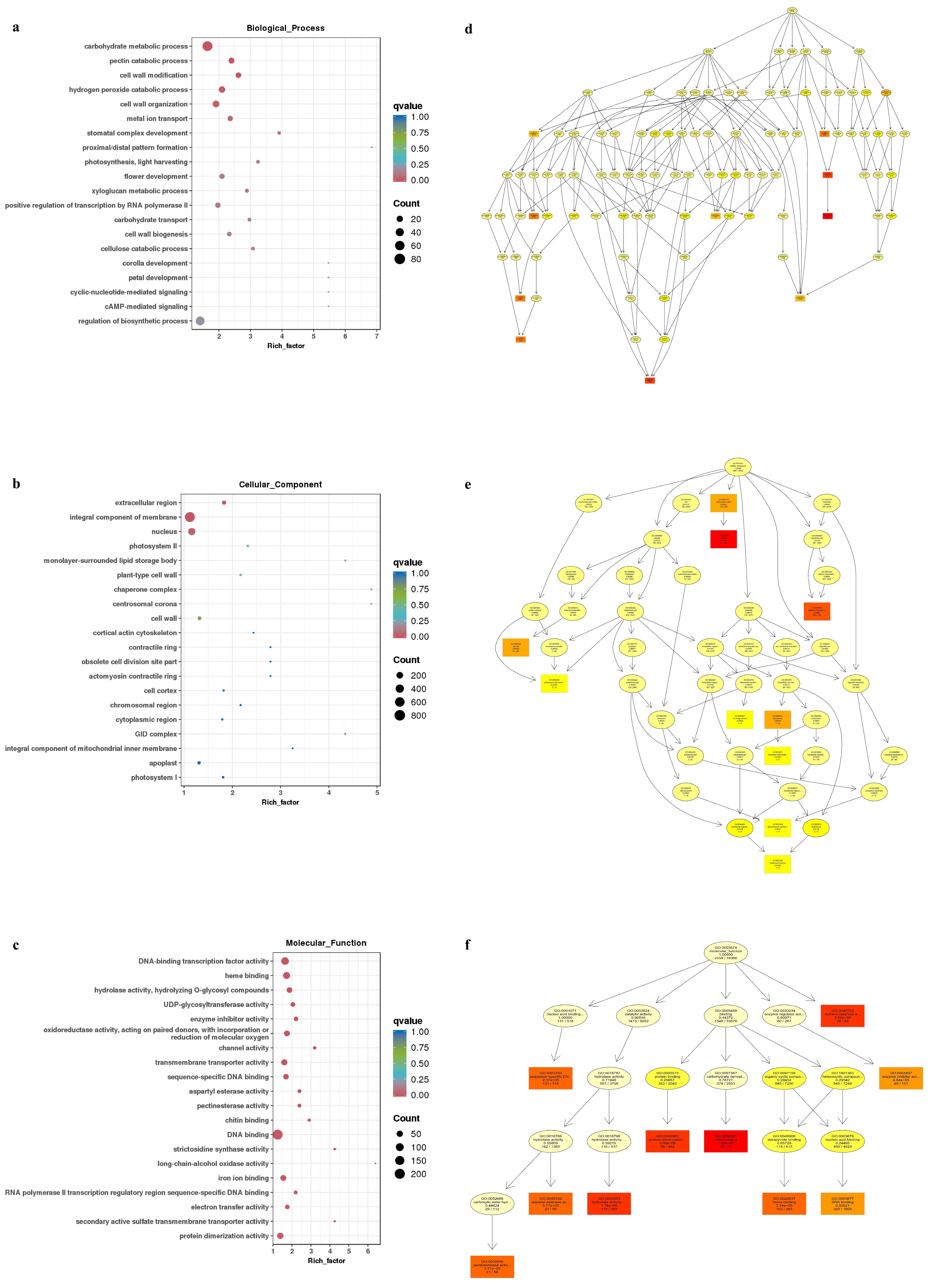 Genes 16 00024 g005 Genes 16 00024 g005