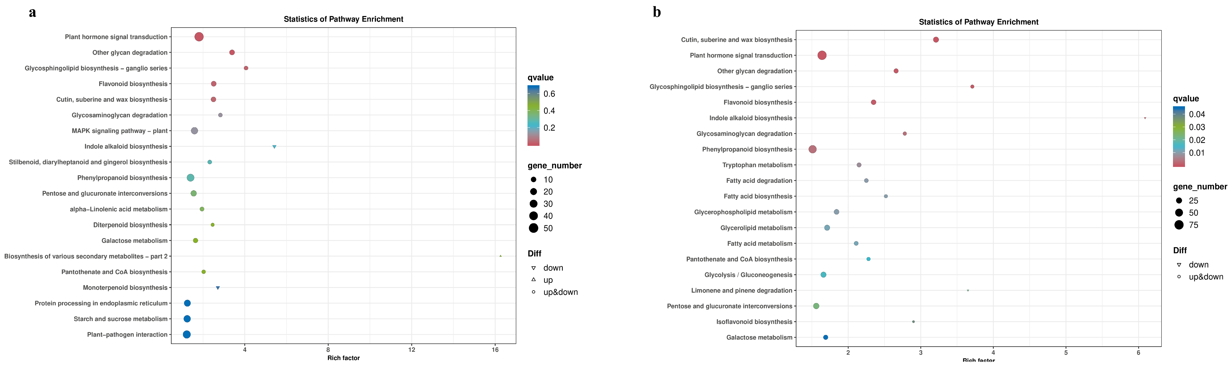 Genes 16 00024 g007 Genes 16 00024 g007