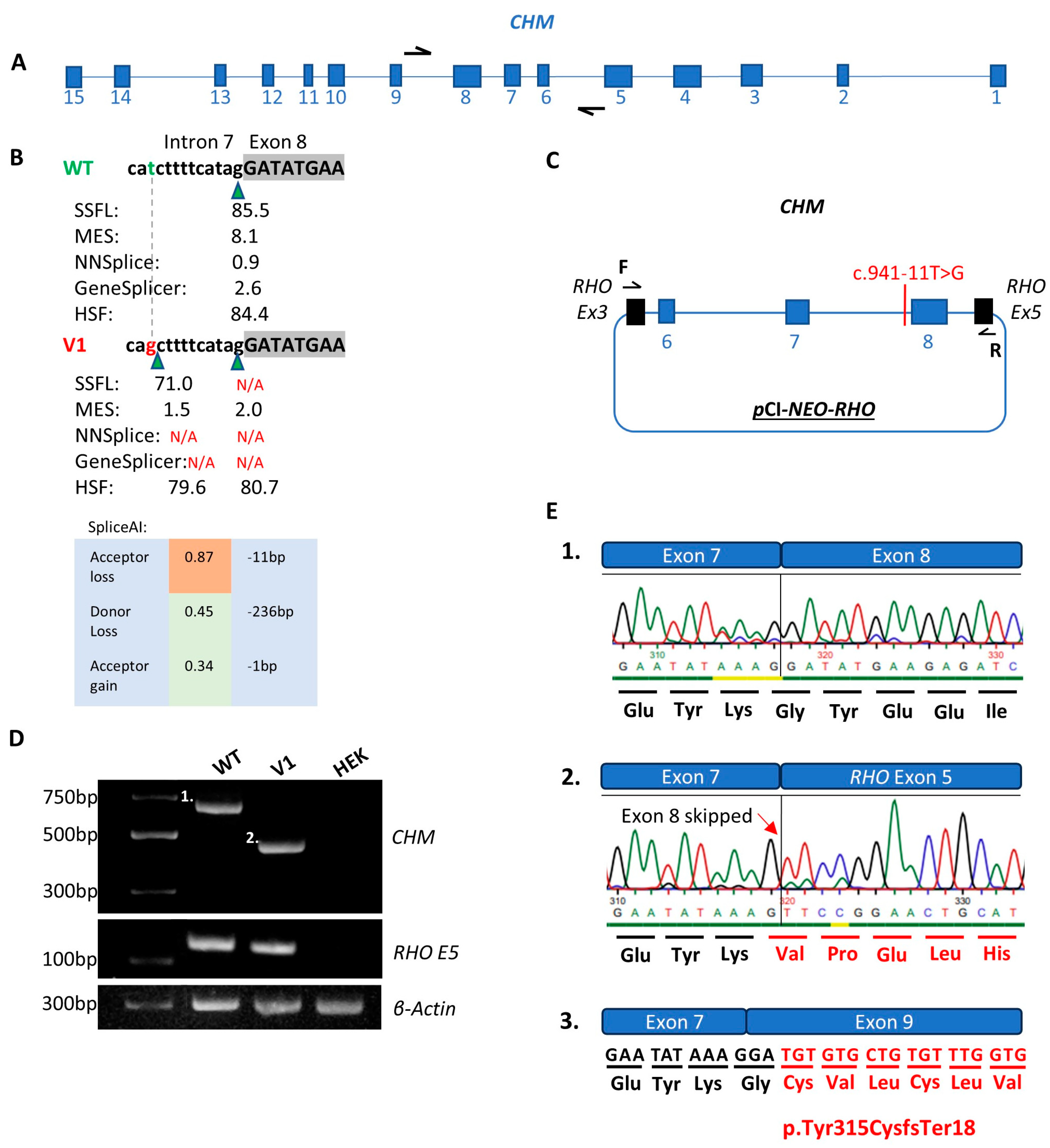 Genes 16 00025 g003