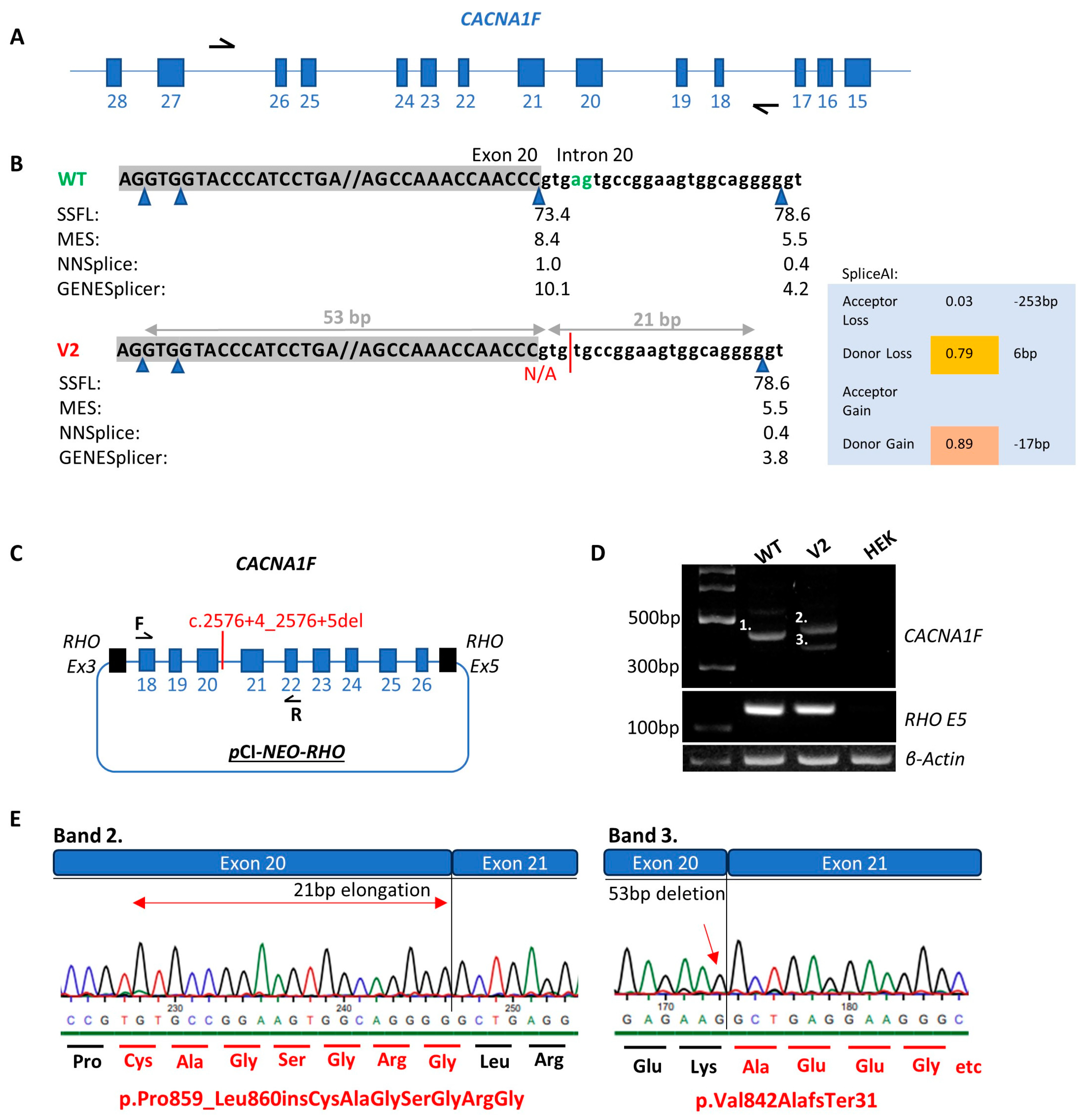Genes 16 00025 g005