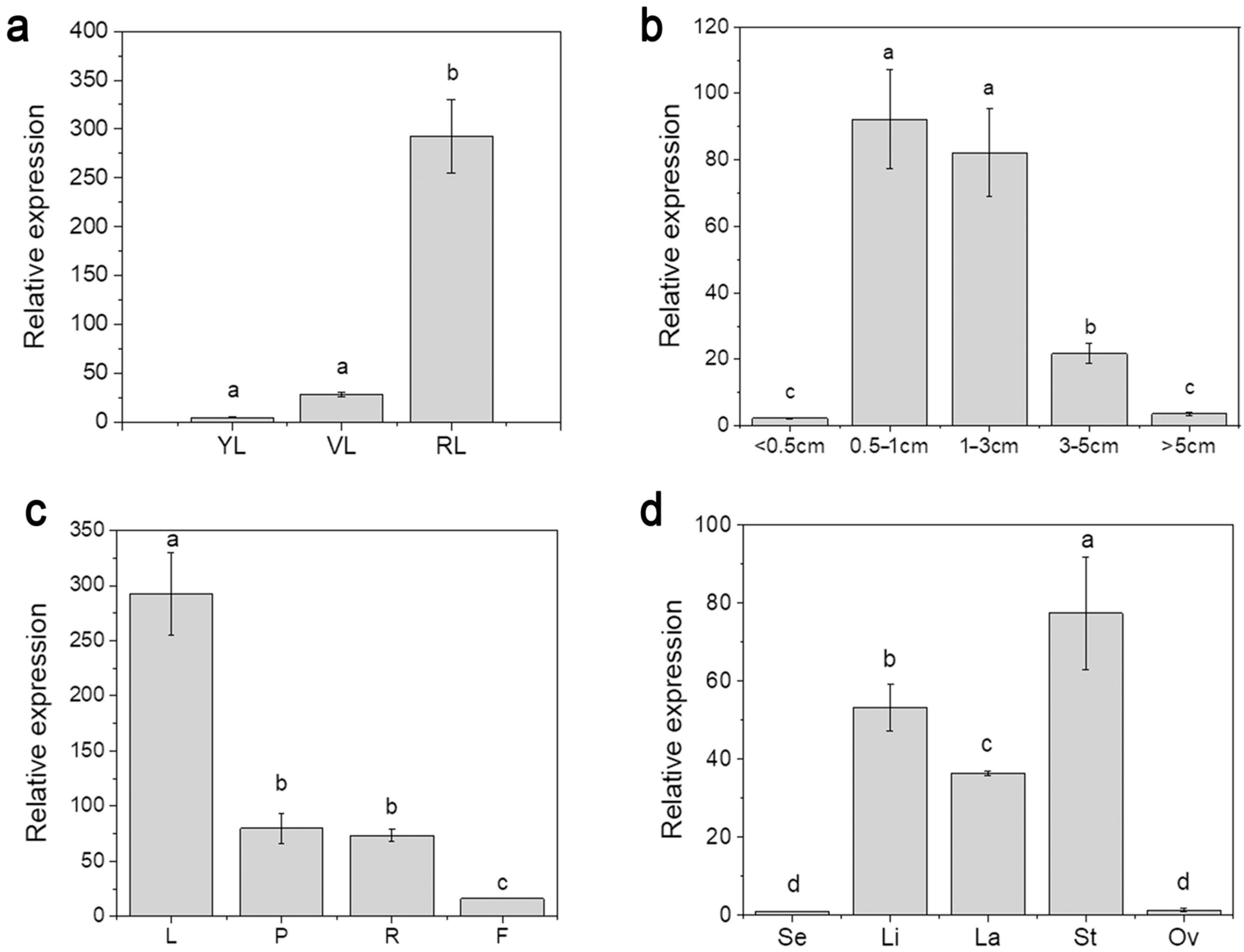 Genes 16 00035 g002 Genes 16 00035 g002