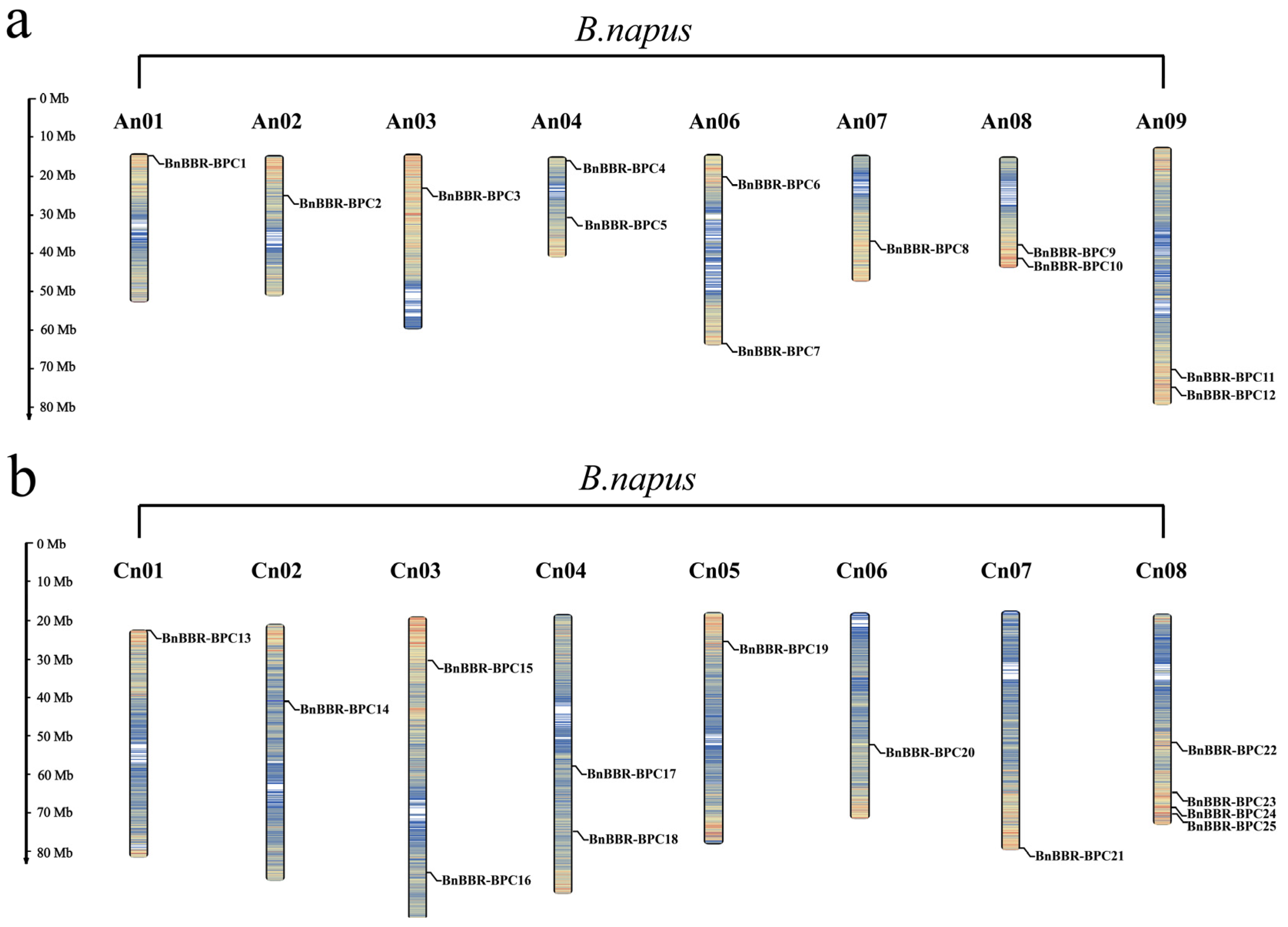 Genes 16 00036 g001