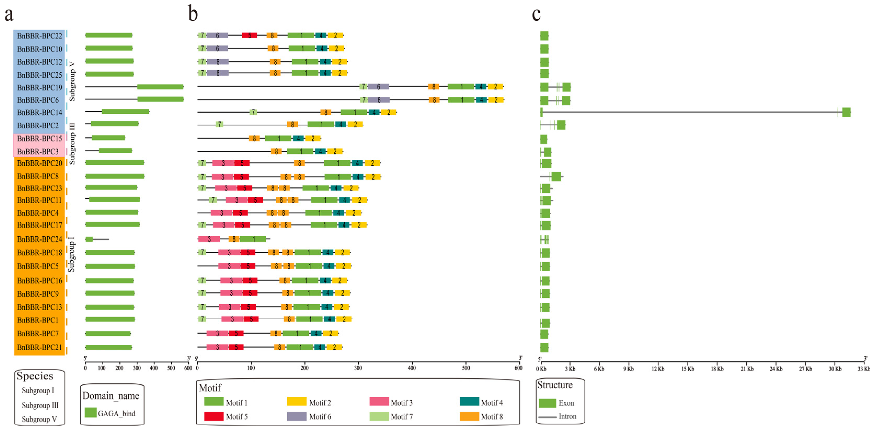 Genes 16 00036 g003