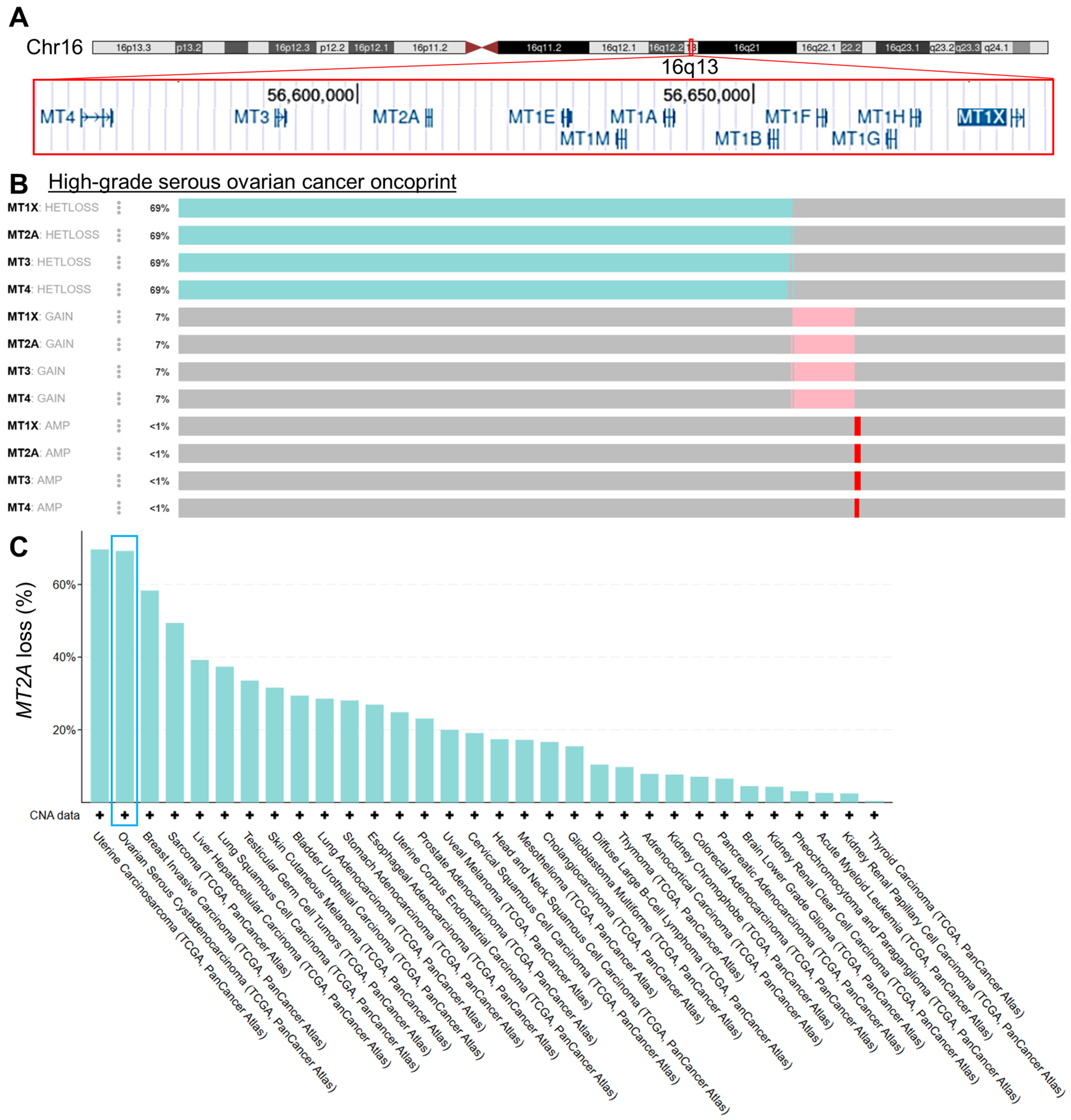 Genes 16 00042 g001