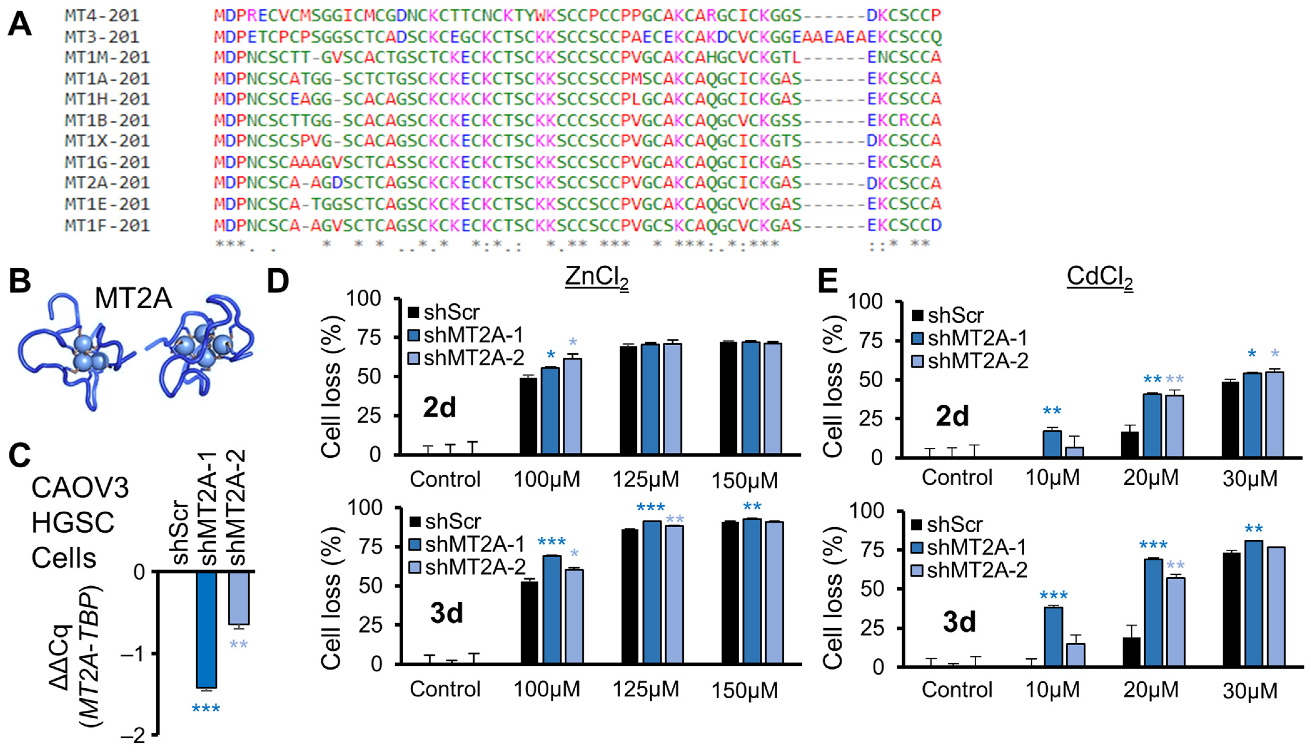 Genes 16 00042 g002